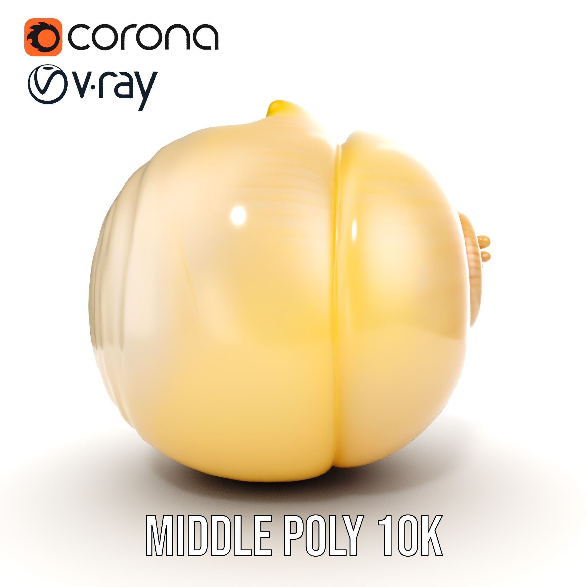 Elegant Seashell Model Pack for D Rendering and Game Design Low-poly 3D model_25