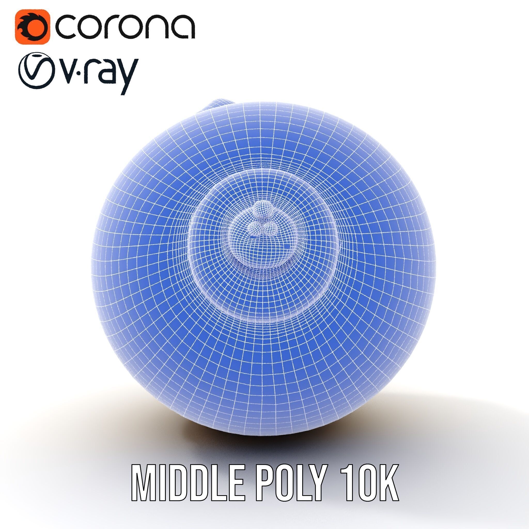 Elegant Seashell Model Pack for D Rendering and Game Design Low-poly 3D model_22