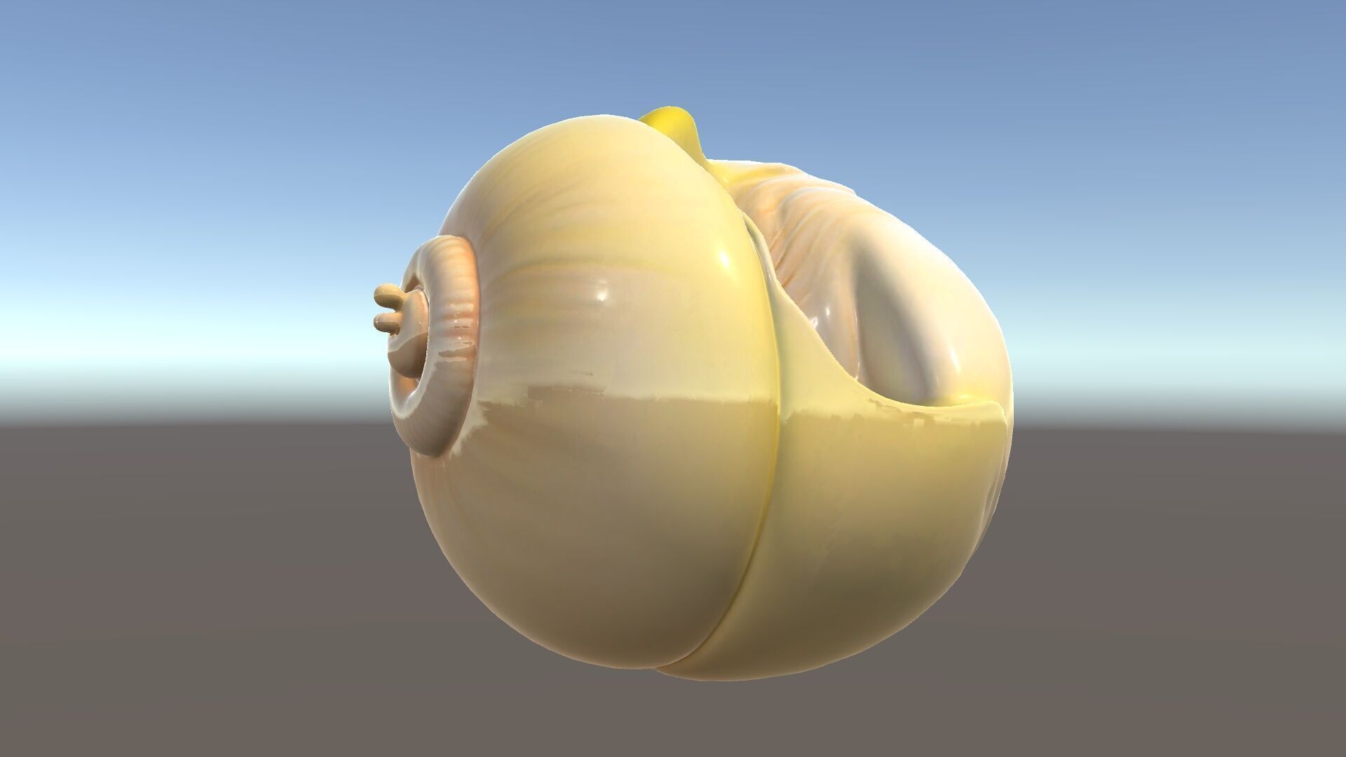 Elegant Seashell Model Pack for D Rendering and Game Design Low-poly 3D model_33