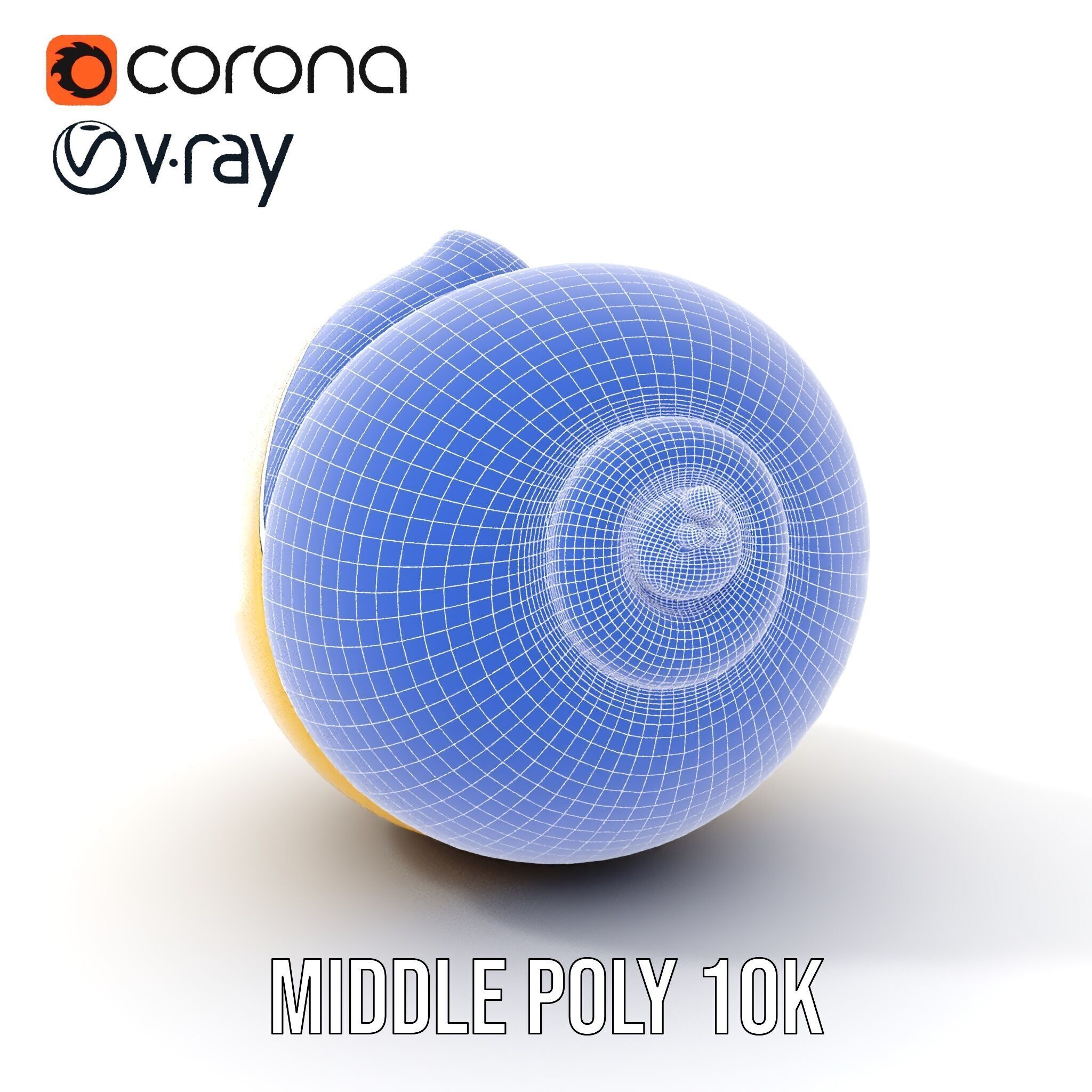 Elegant Seashell Model Pack for D Rendering and Game Design Low-poly 3D model_8