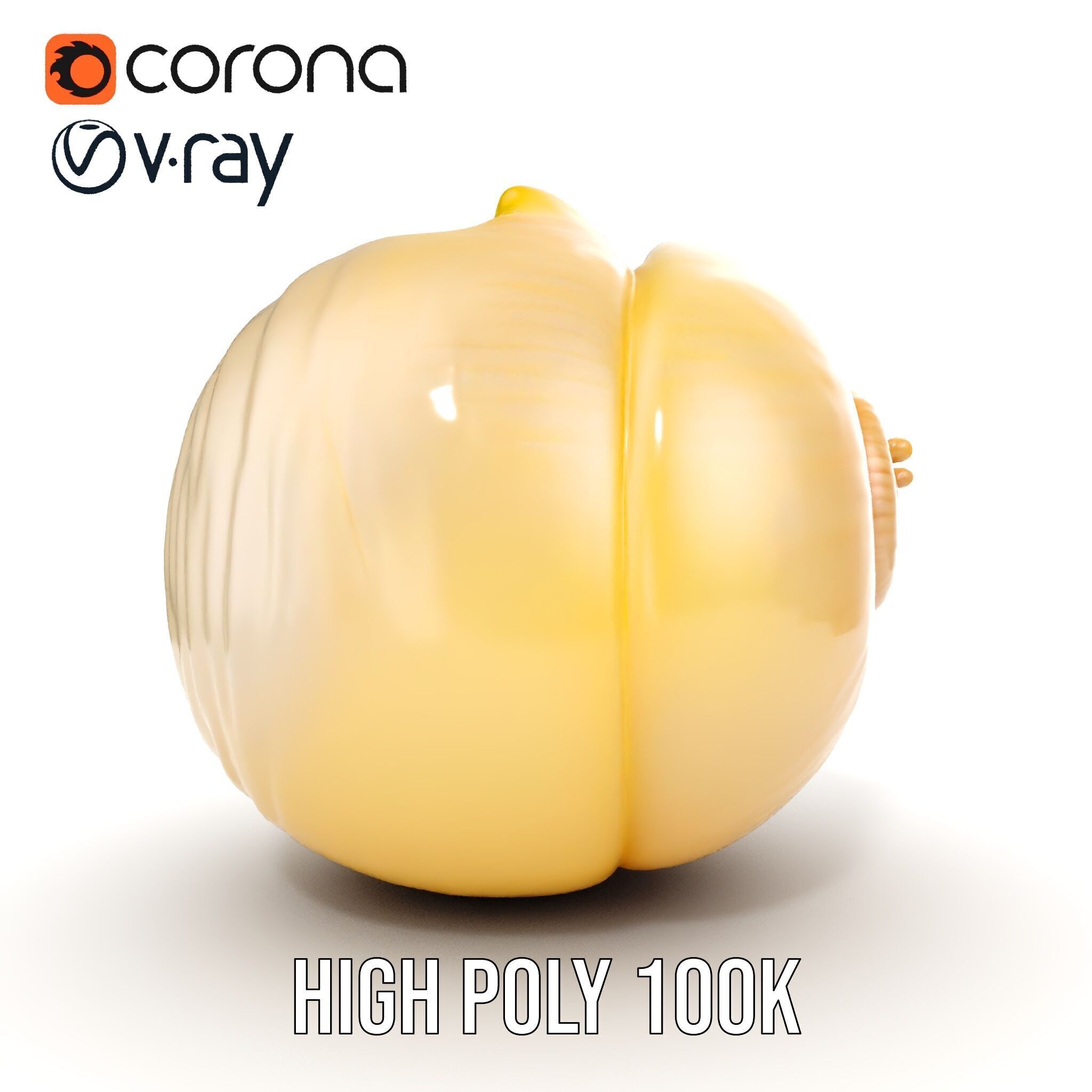 Elegant Seashell Model Pack for D Rendering and Game Design Low-poly 3D model_18