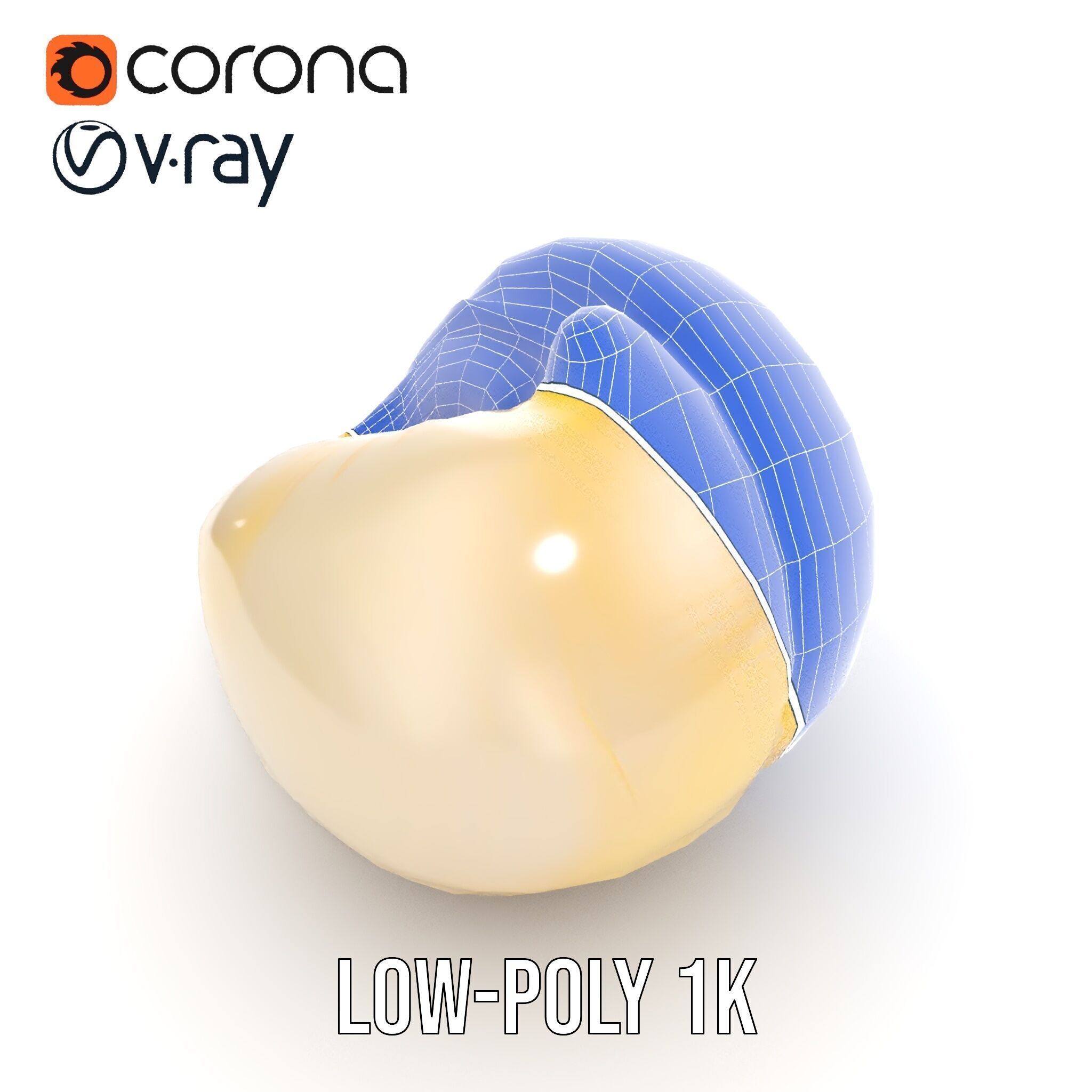 Elegant Seashell Model Pack for D Rendering and Game Design Low-poly 3D model_23