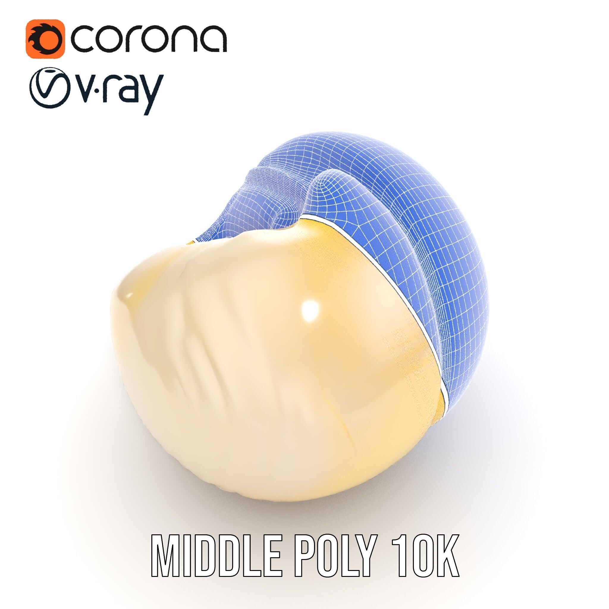 Elegant Seashell Model Pack for D Rendering and Game Design Low-poly 3D model_28