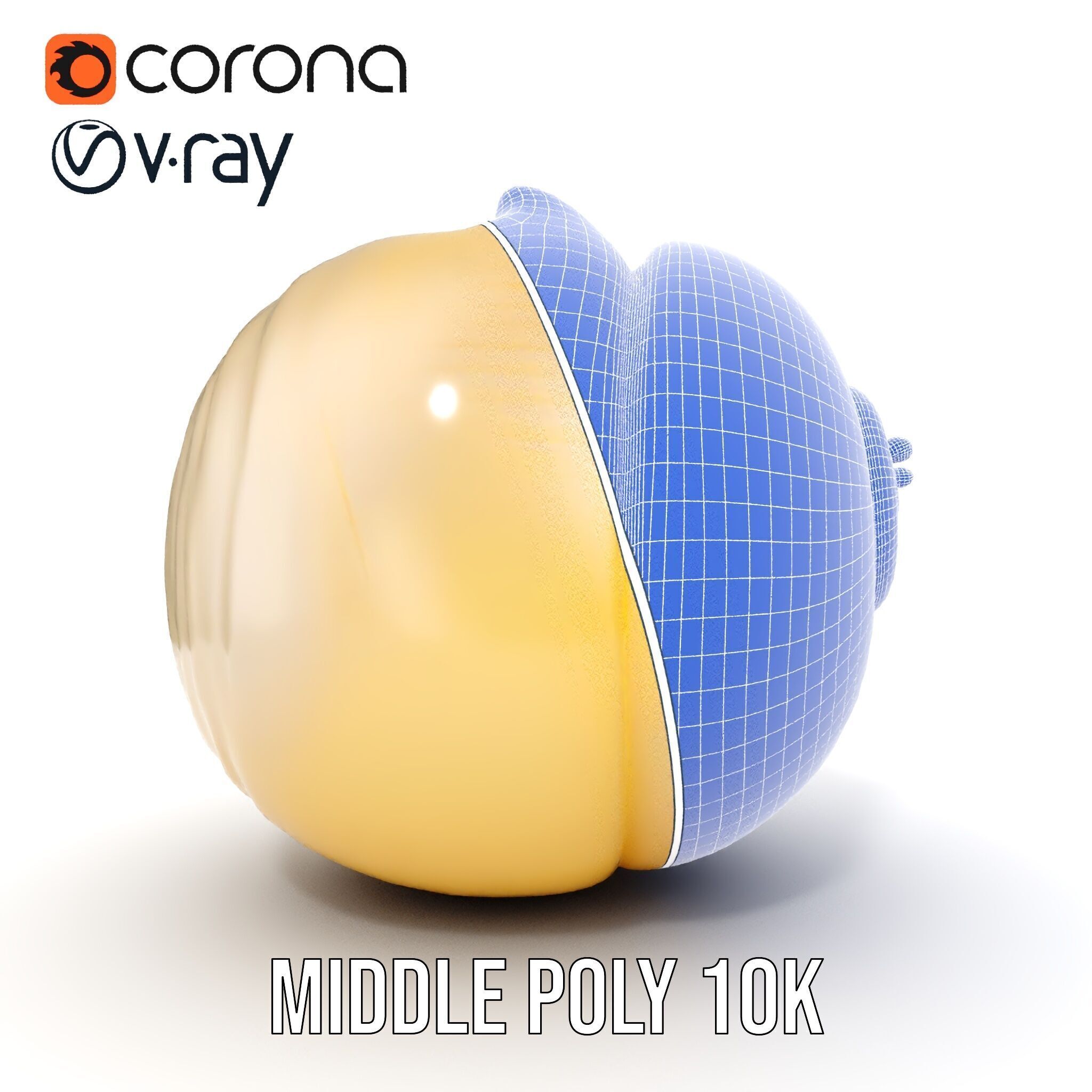 Elegant Seashell Model Pack for D Rendering and Game Design Low-poly 3D model_30