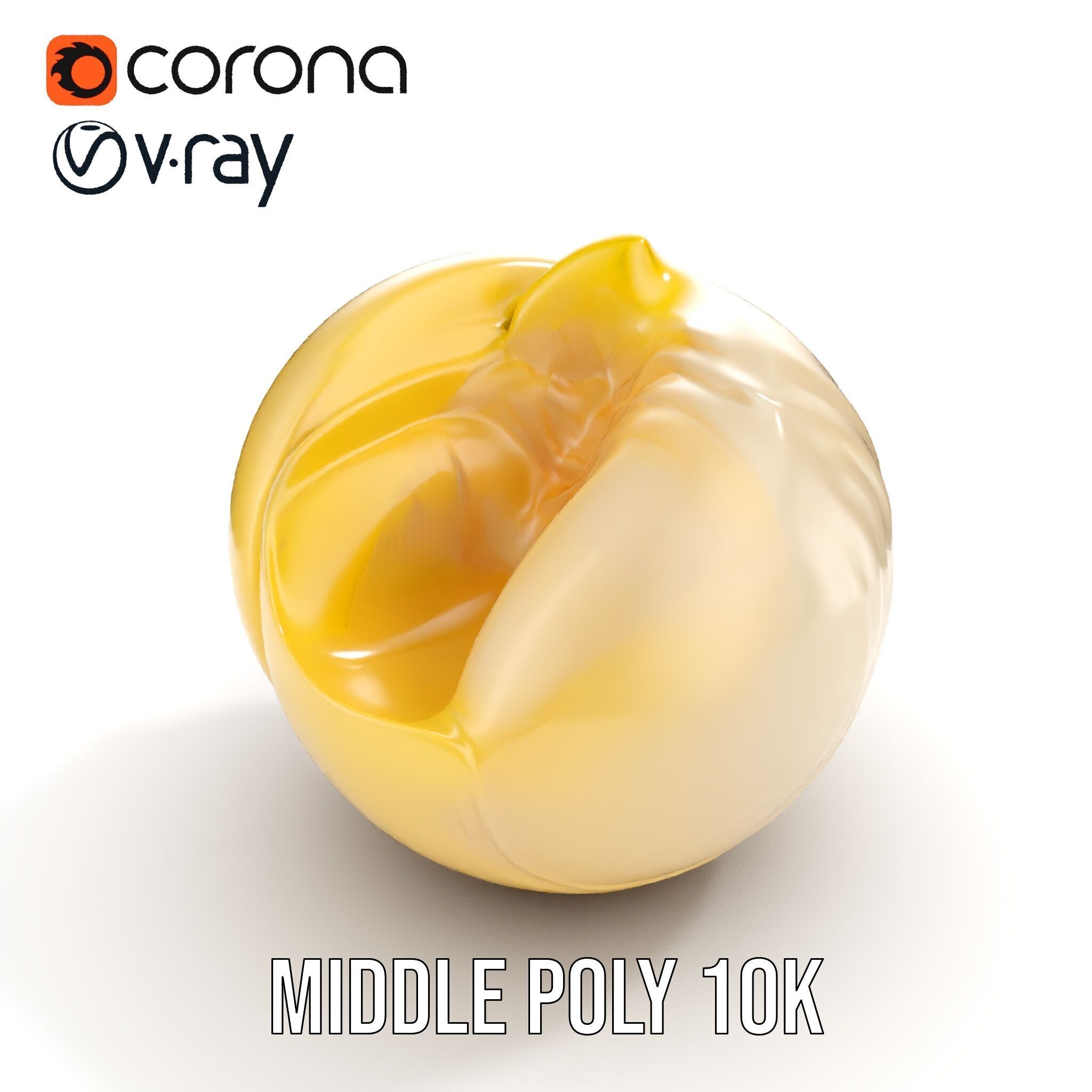 Elegant Seashell Model Pack for D Rendering and Game Design Low-poly 3D model_10