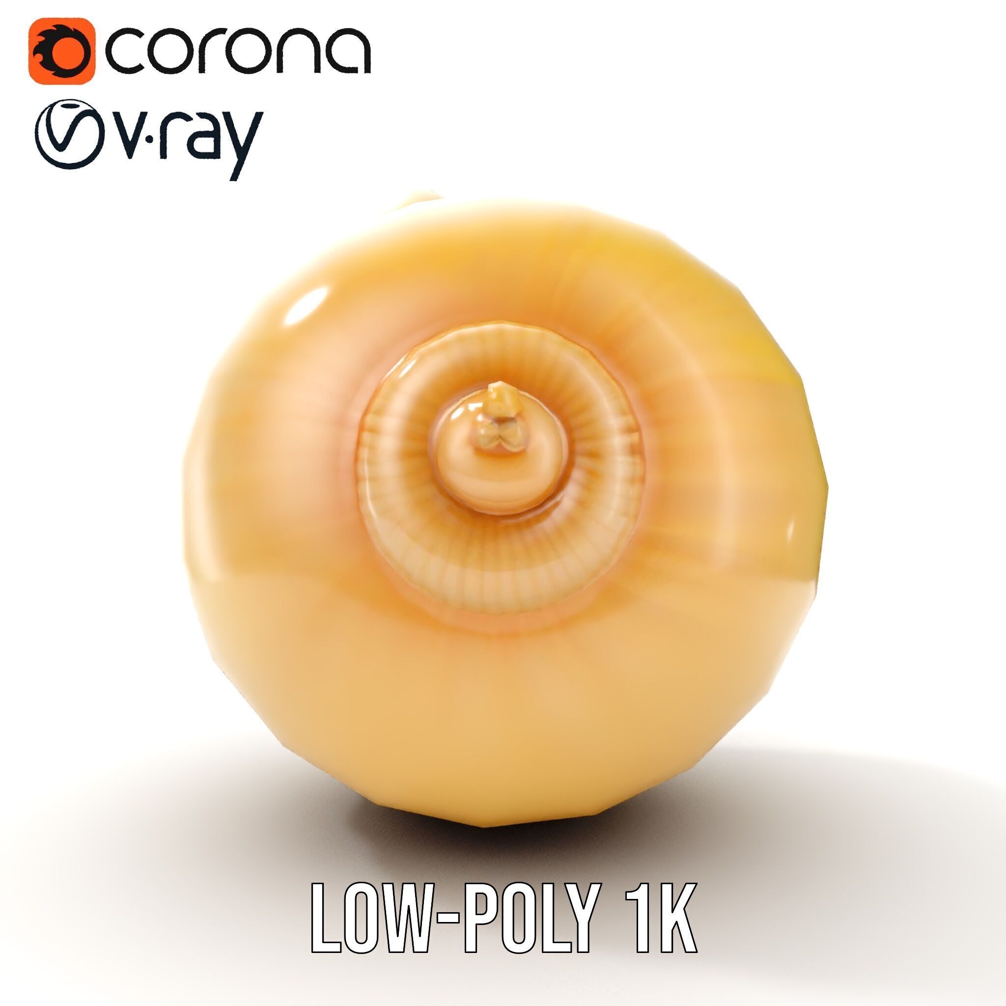 Elegant Seashell Model Pack for D Rendering and Game Design Low-poly 3D model_11