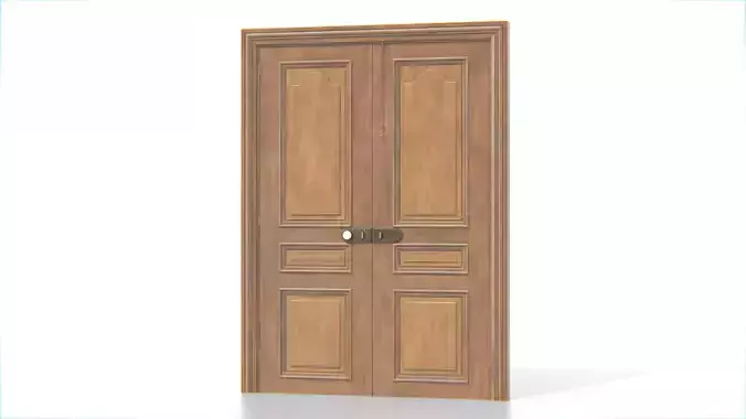 Antique Wooden Double Door