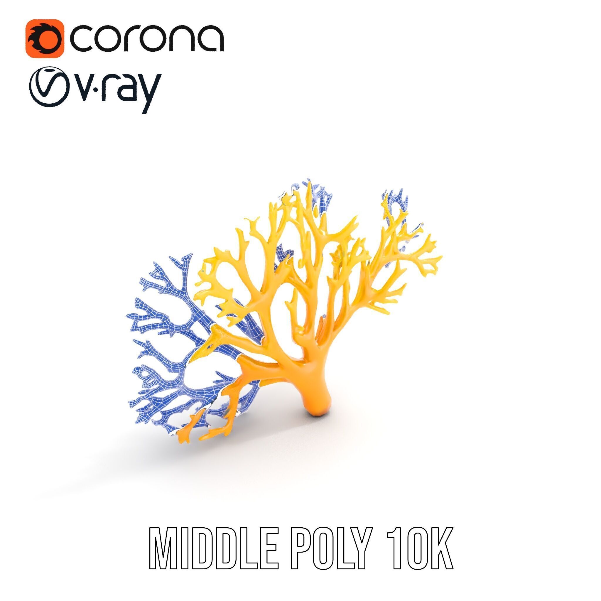Yellow Coral Model Pack for Realistic Rendering and Simulation Low-poly 3D model_26