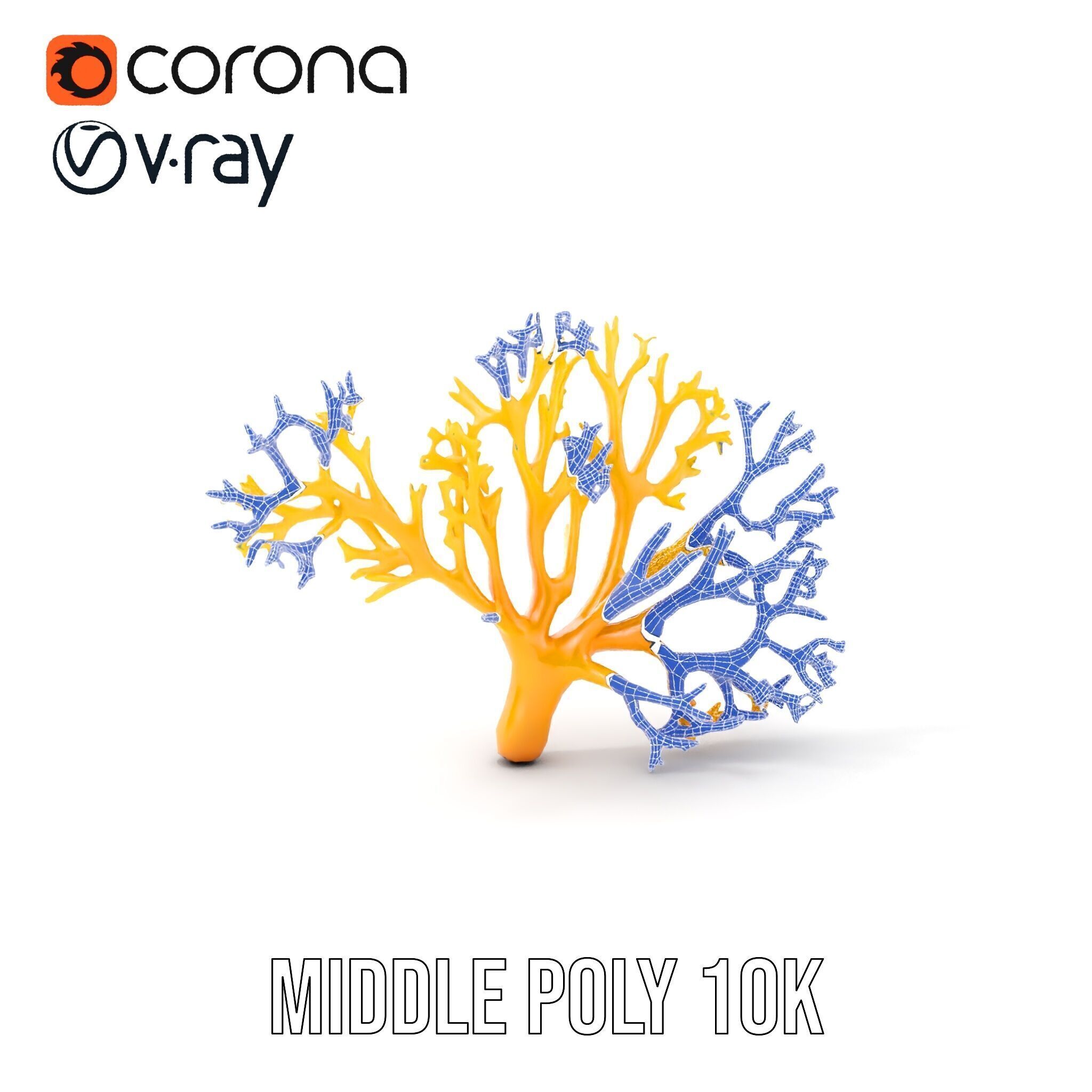 Yellow Coral Model Pack for Realistic Rendering and Simulation Low-poly 3D model_14