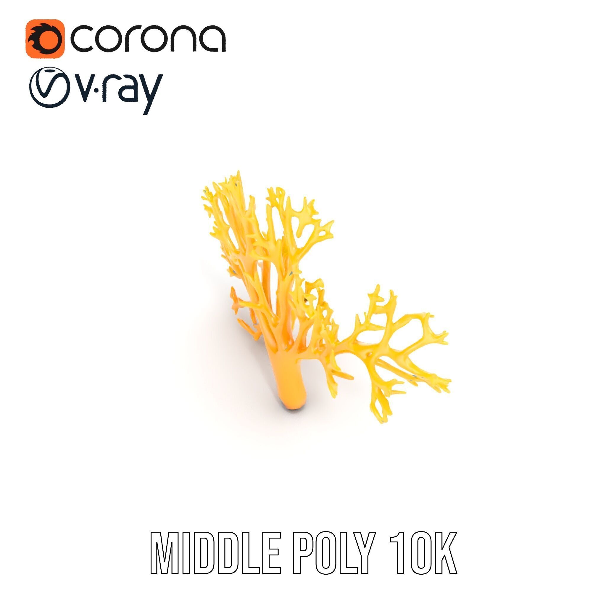 Yellow Coral Model Pack for Realistic Rendering and Simulation Low-poly 3D model_20
