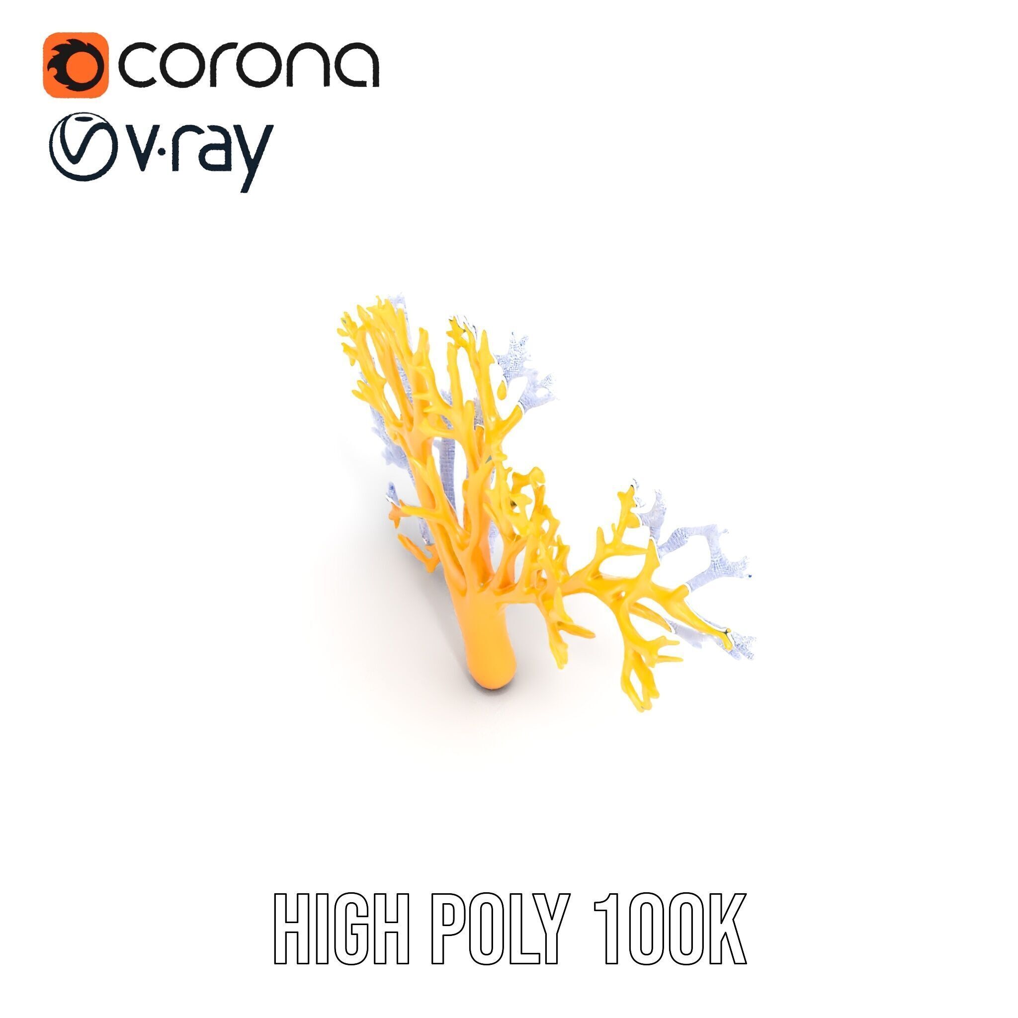 Yellow Coral Model Pack for Realistic Rendering and Simulation Low-poly 3D model_31