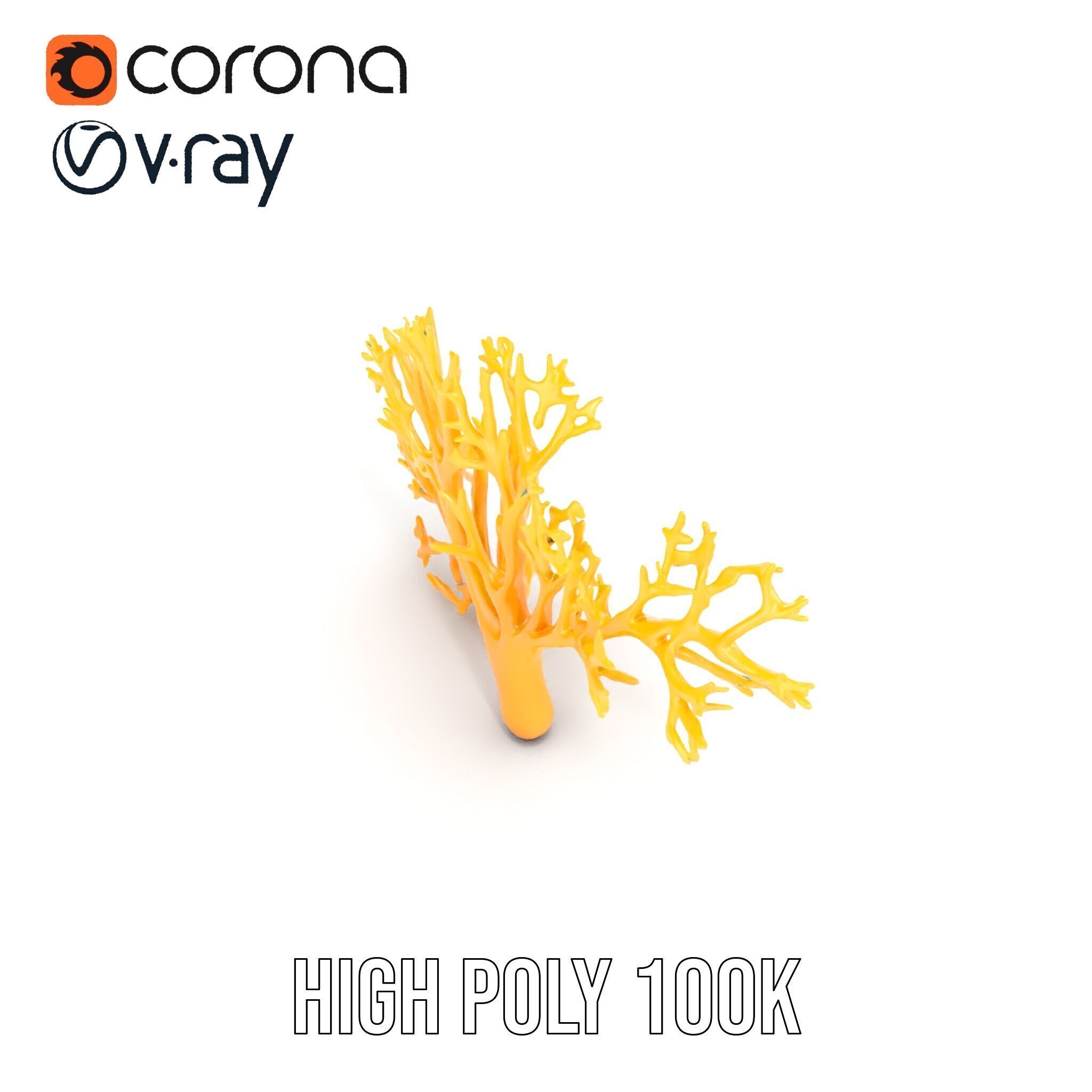 Yellow Coral Model Pack for Realistic Rendering and Simulation Low-poly 3D model_11
