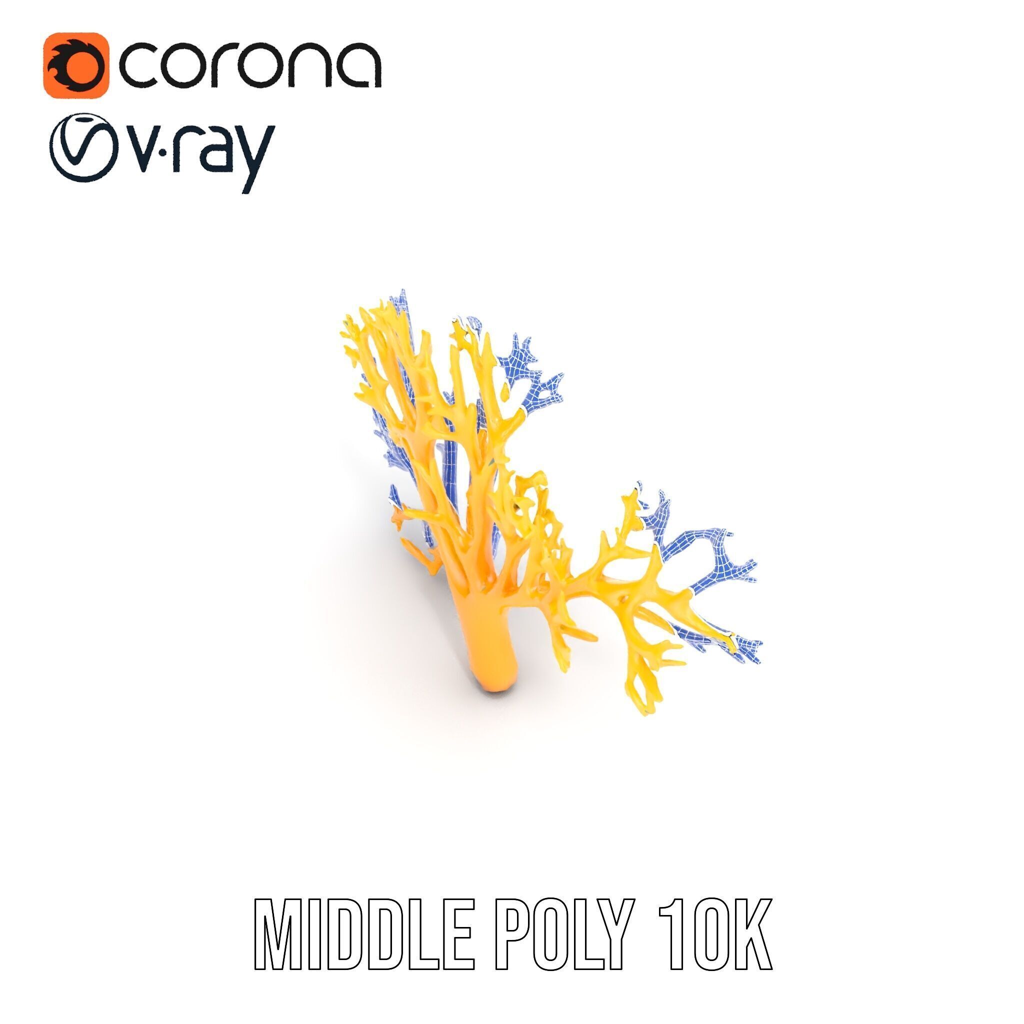 Yellow Coral Model Pack for Realistic Rendering and Simulation Low-poly 3D model_32