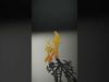 Yellow Coral Model Pack for Realistic Rendering and Simulation Low-poly 3D model_2