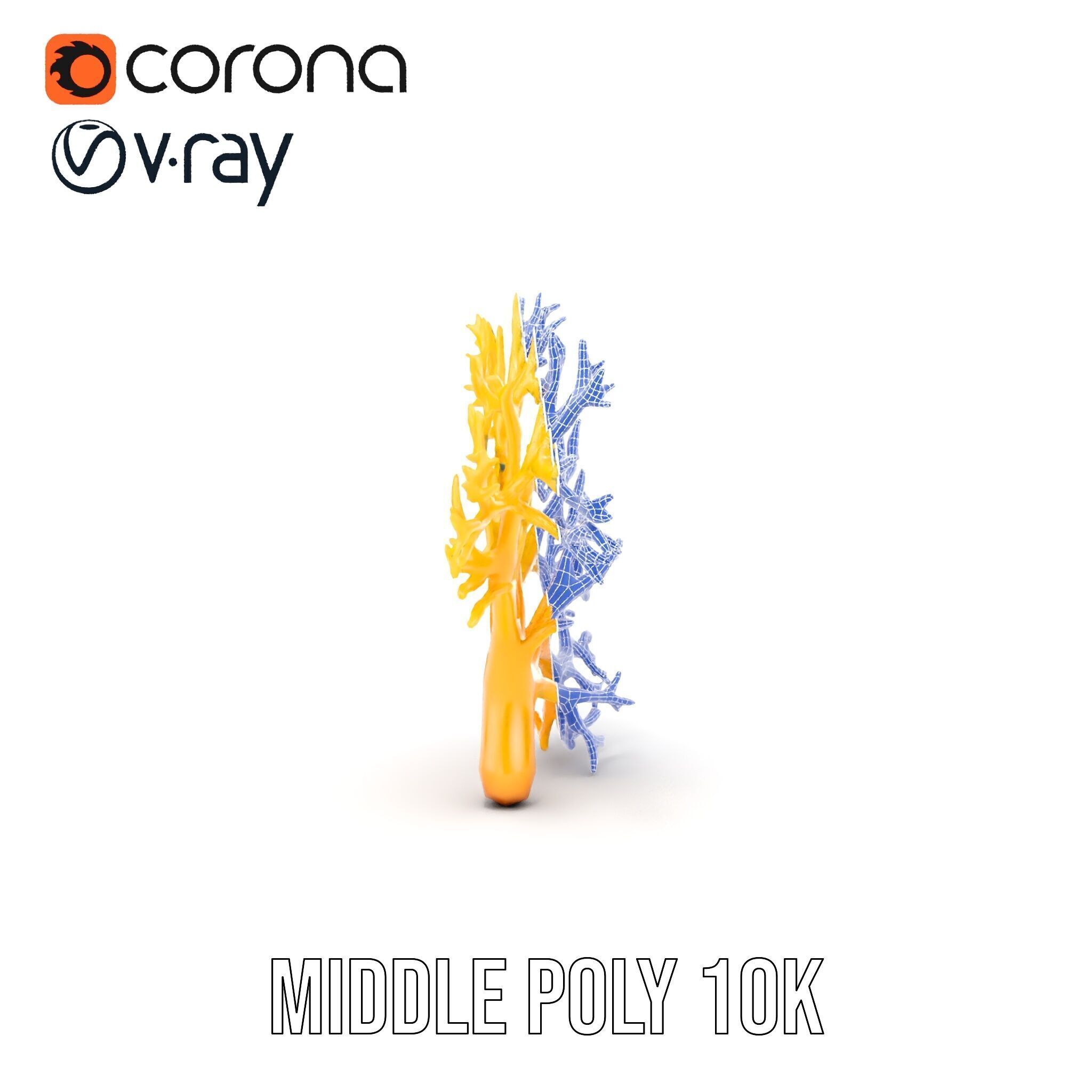 Yellow Coral Model Pack for Realistic Rendering and Simulation Low-poly 3D model_23