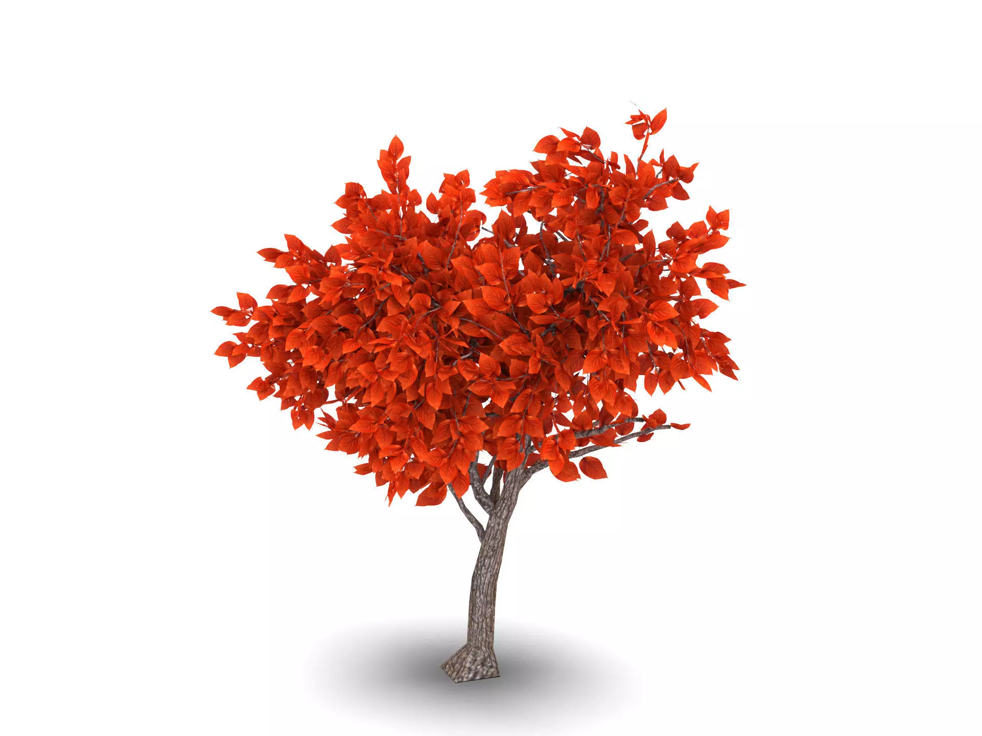 Small Tree Low-poly 3D model