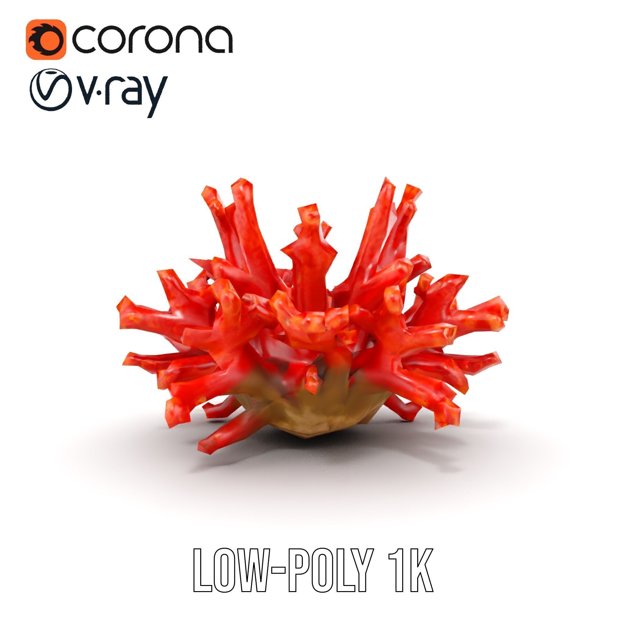 Detailed Coral Model Pack for Realistic Sea Renderings Low-poly 3D model_21