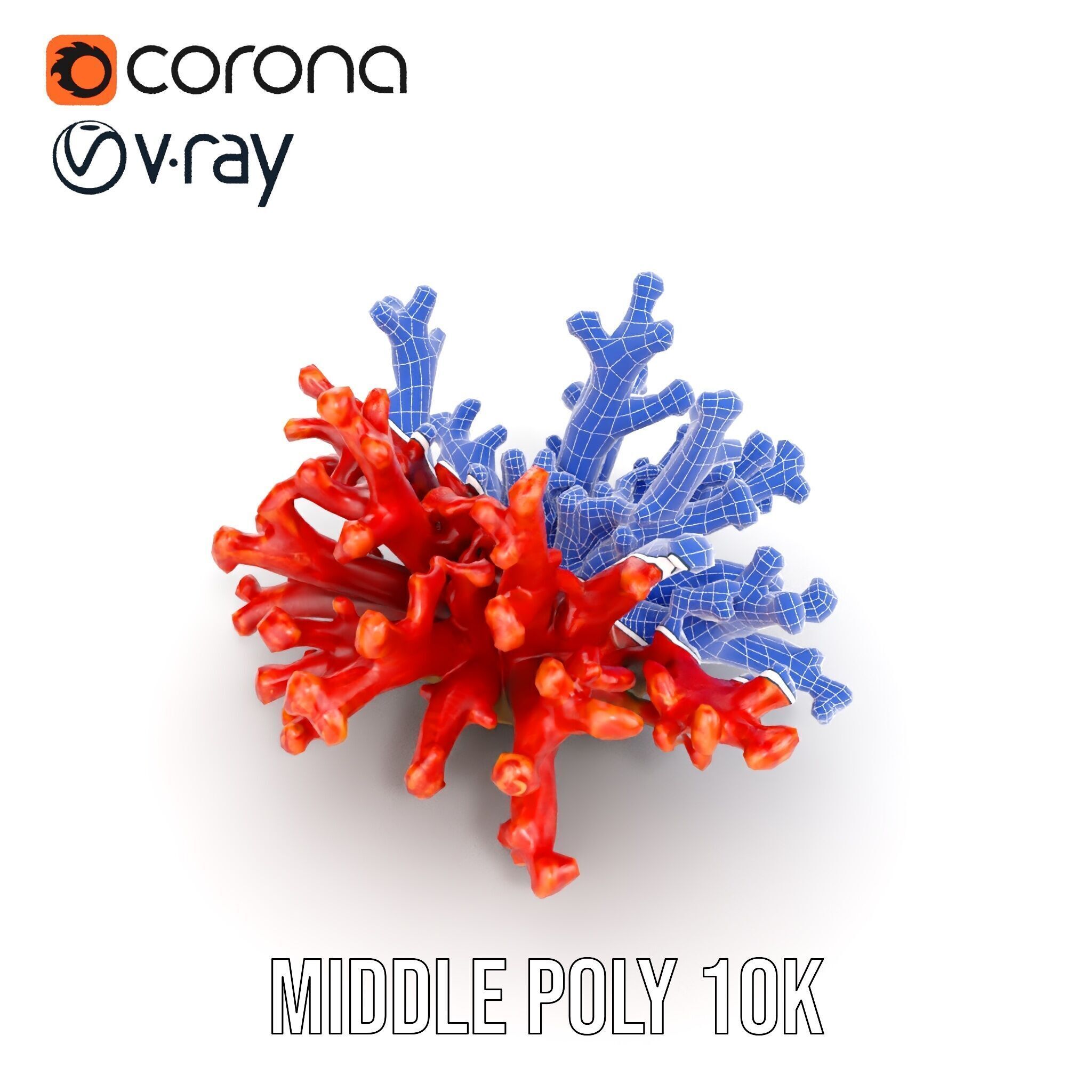 Detailed Coral Model Pack for Realistic Sea Renderings Low-poly 3D model_31