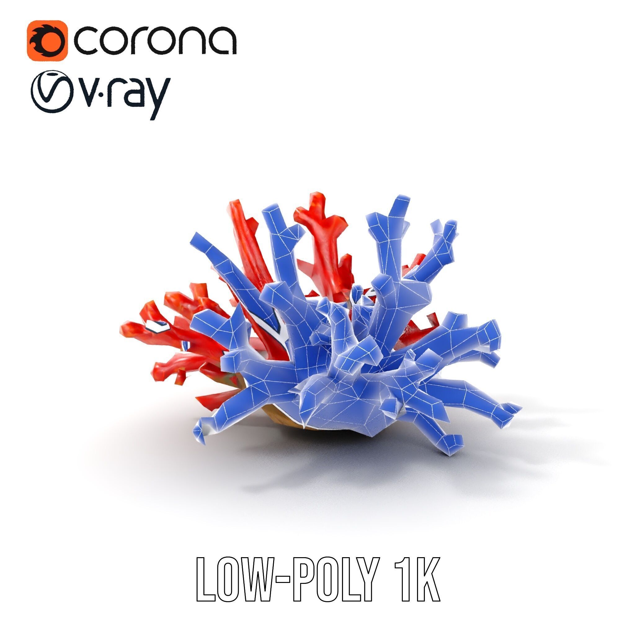 Detailed Coral Model Pack for Realistic Sea Renderings Low-poly 3D model_8