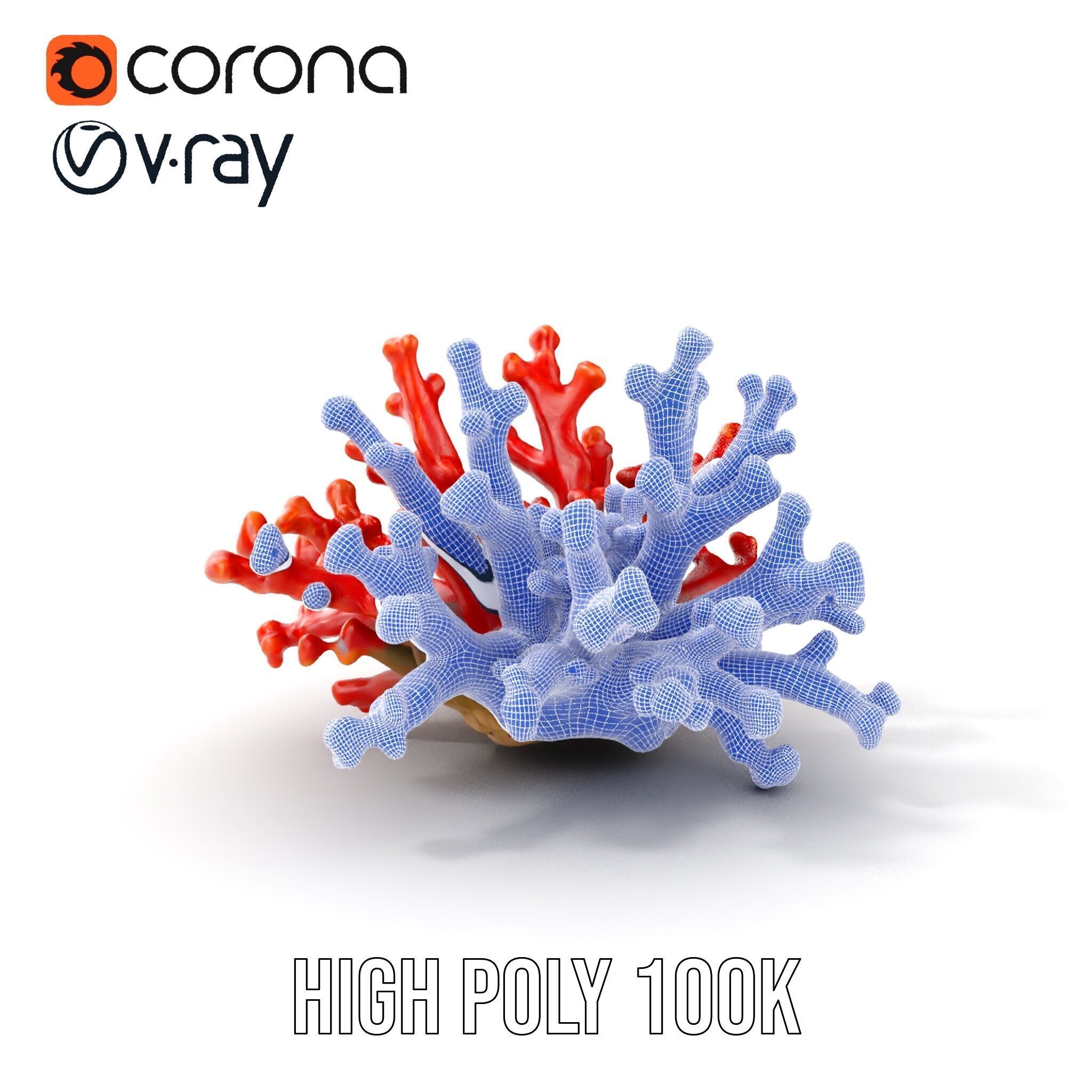 Detailed Coral Model Pack for Realistic Sea Renderings Low-poly 3D model_5
