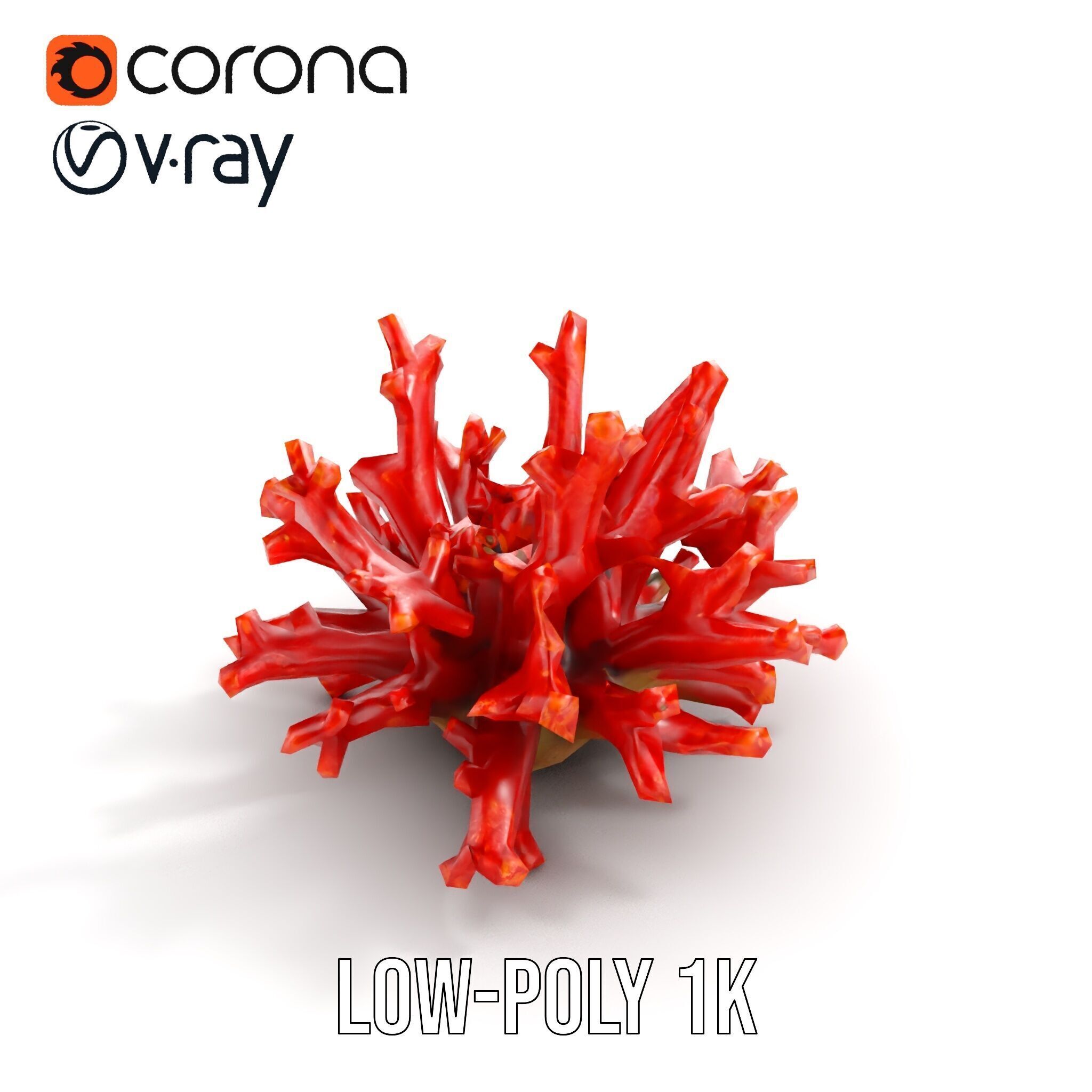 Detailed Coral Model Pack for Realistic Sea Renderings Low-poly 3D model_13