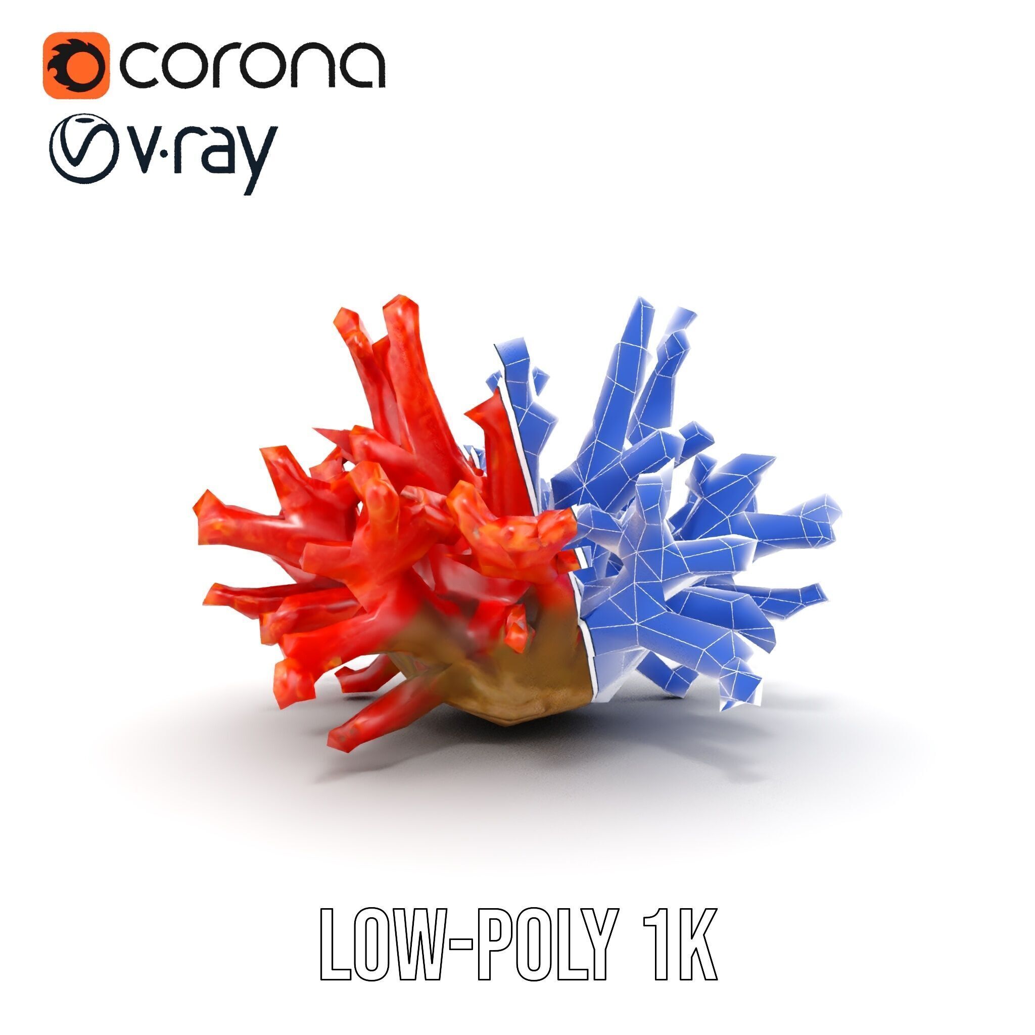 Detailed Coral Model Pack for Realistic Sea Renderings Low-poly 3D model_27