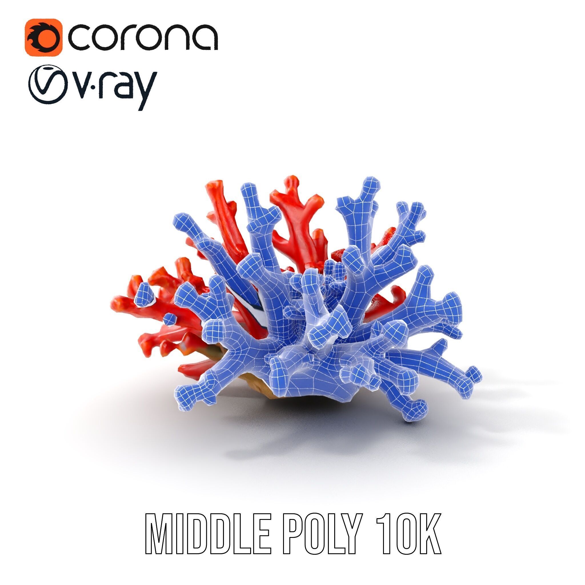 Detailed Coral Model Pack for Realistic Sea Renderings Low-poly 3D model_26