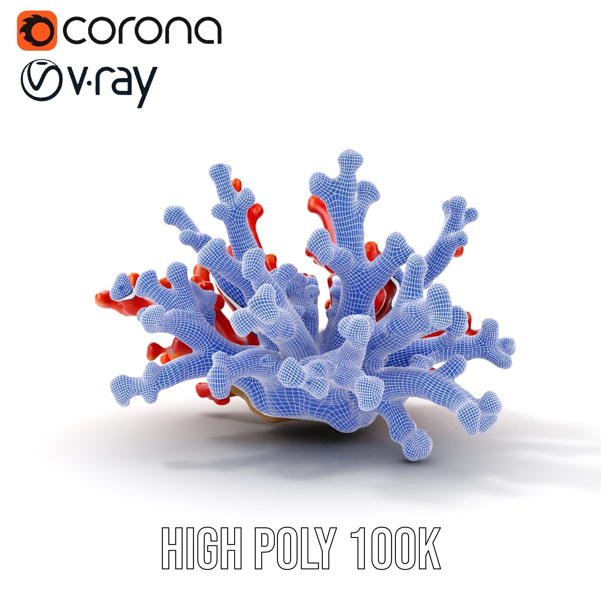 Detailed Coral Model Pack for Realistic Sea Renderings Low-poly 3D model_30