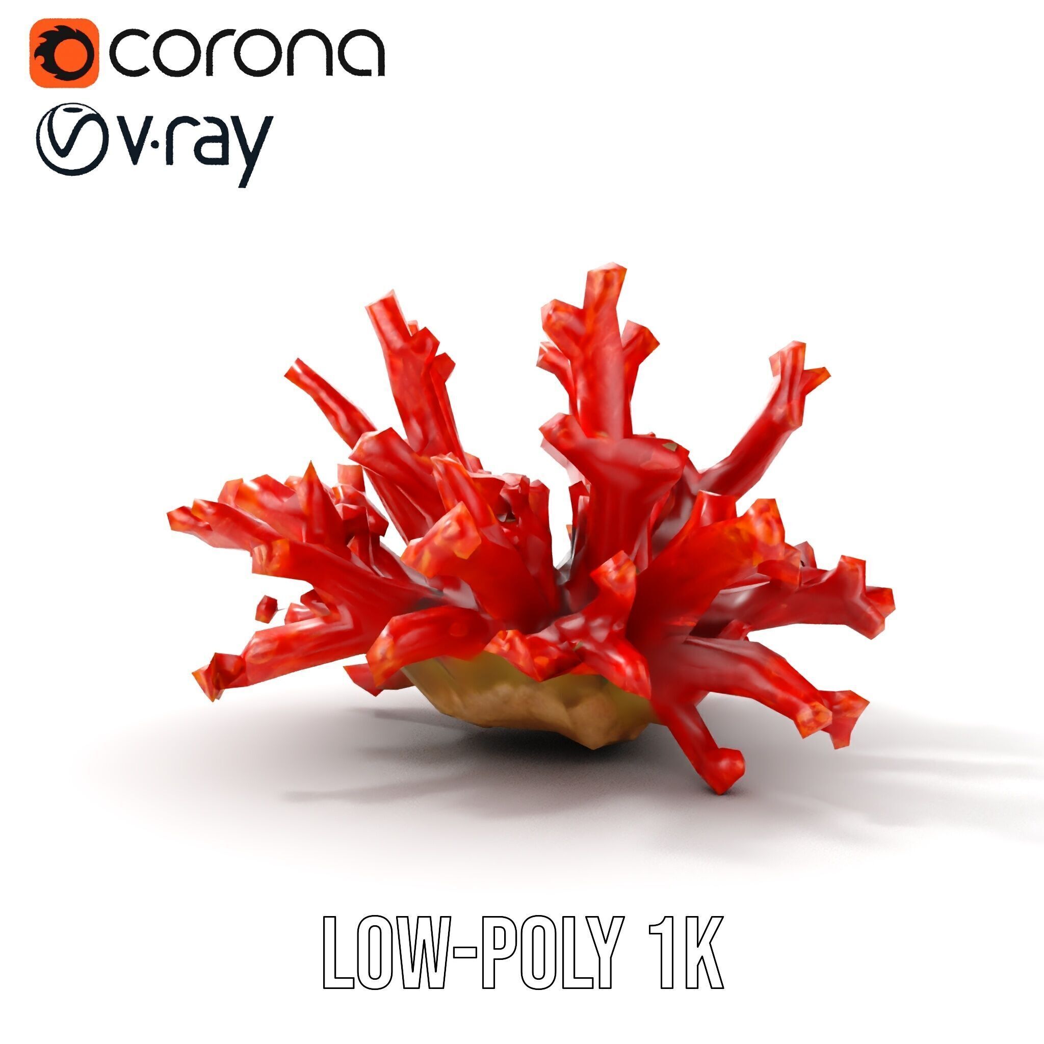 Detailed Coral Model Pack for Realistic Sea Renderings Low-poly 3D model_24