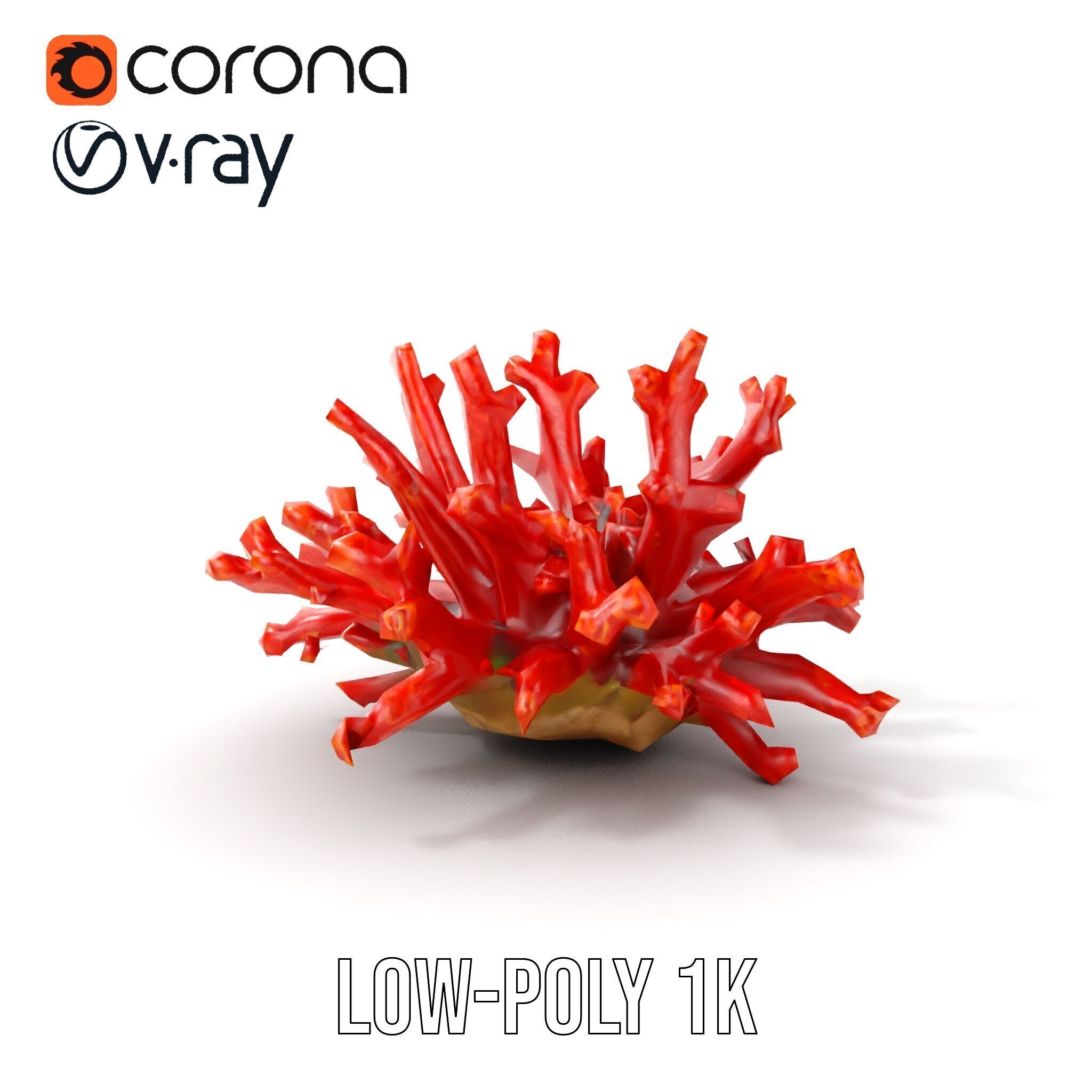Detailed Coral Model Pack for Realistic Sea Renderings Low-poly 3D model_19