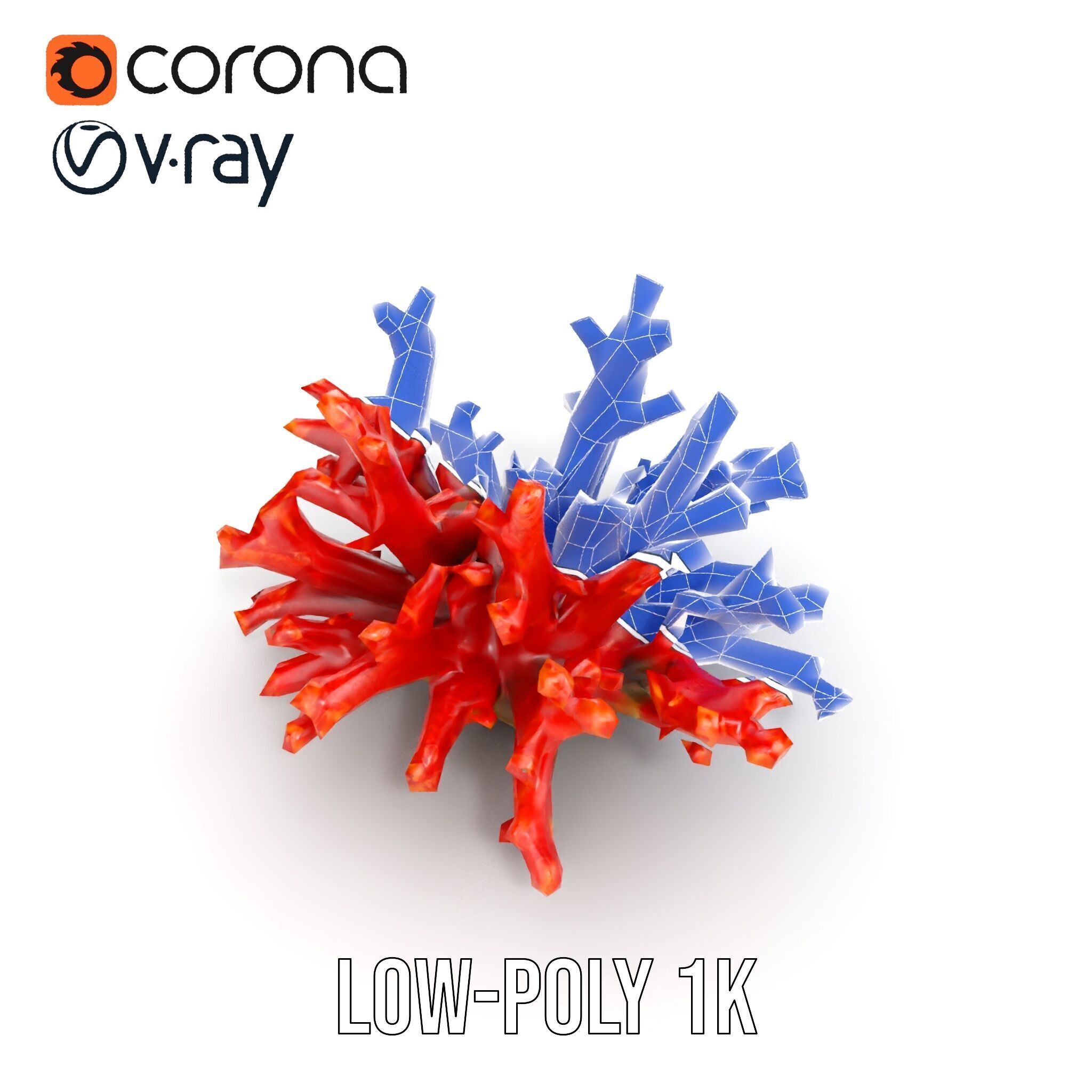 Detailed Coral Model Pack for Realistic Sea Renderings Low-poly 3D model_32
