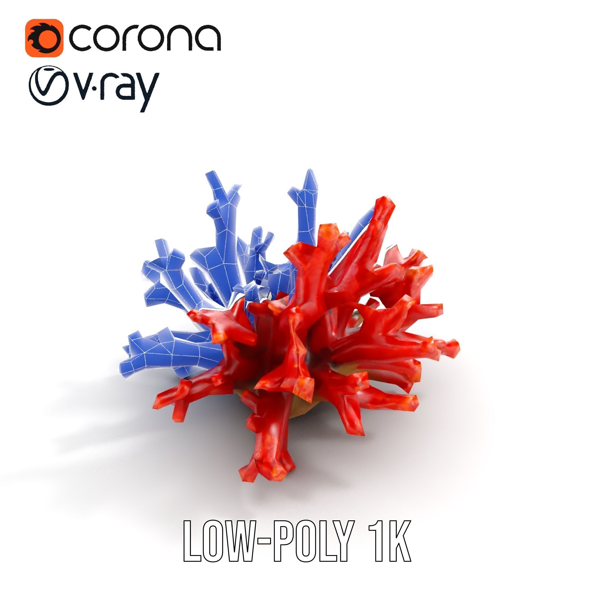 Detailed Coral Model Pack for Realistic Sea Renderings Low-poly 3D model_10