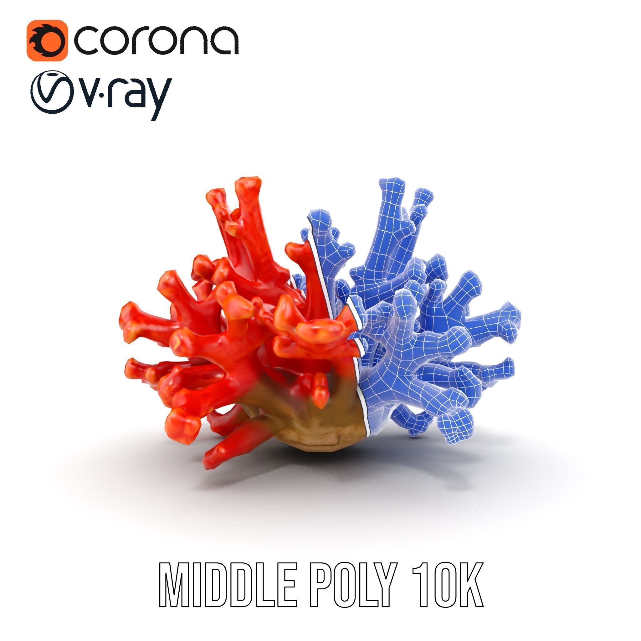 Detailed Coral Model Pack for Realistic Sea Renderings Low-poly 3D model_23