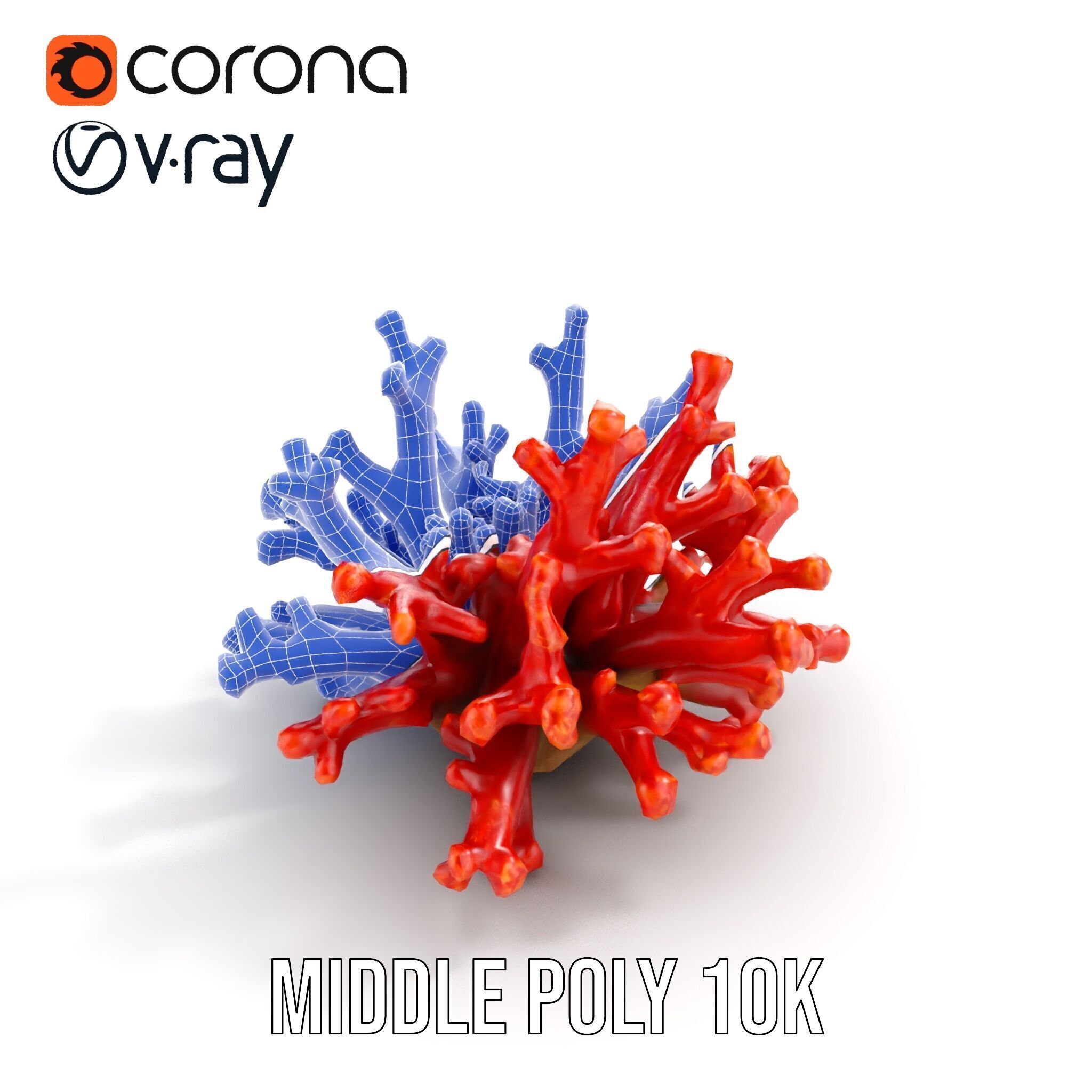 Detailed Coral Model Pack for Realistic Sea Renderings Low-poly 3D model_28