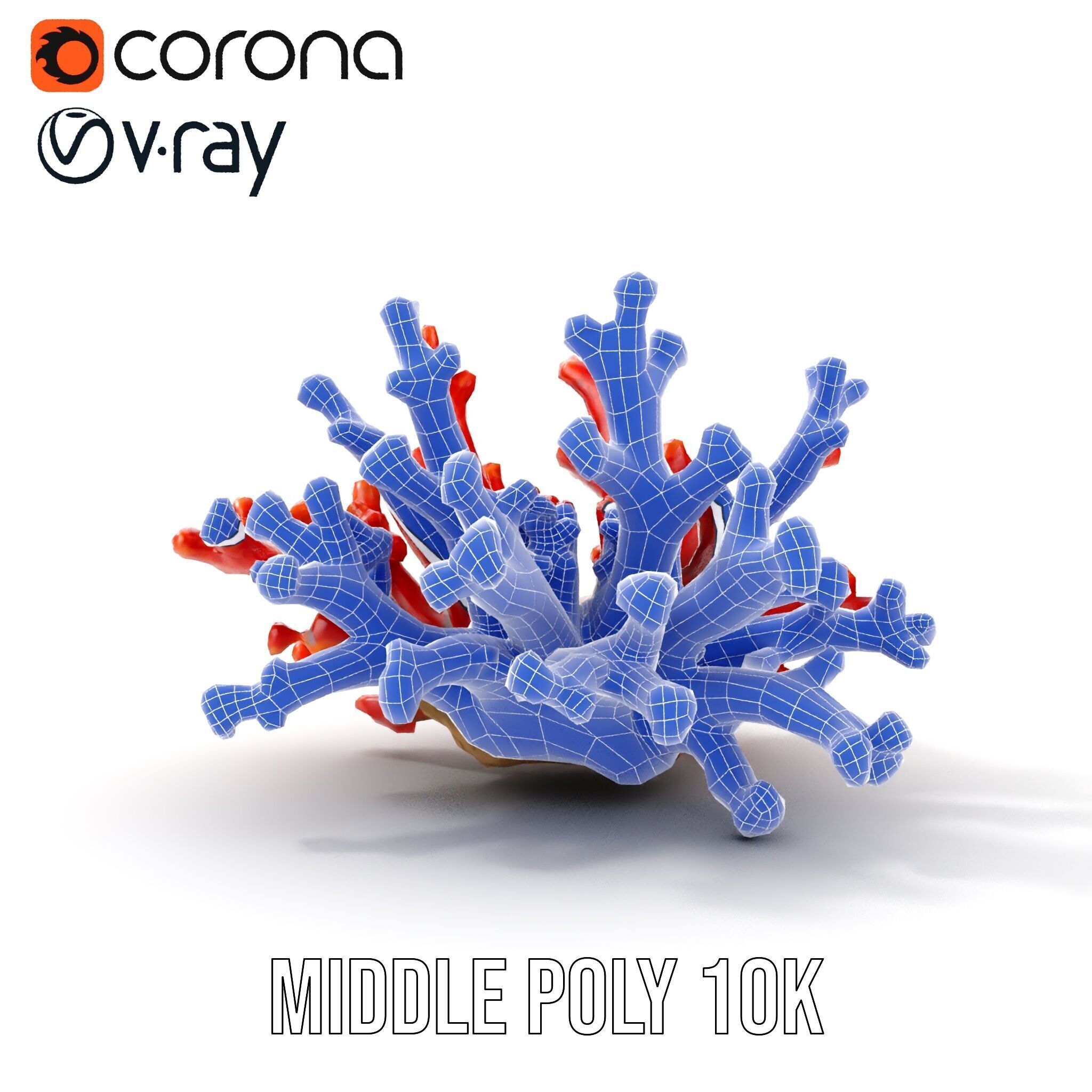 Detailed Coral Model Pack for Realistic Sea Renderings Low-poly 3D model_18