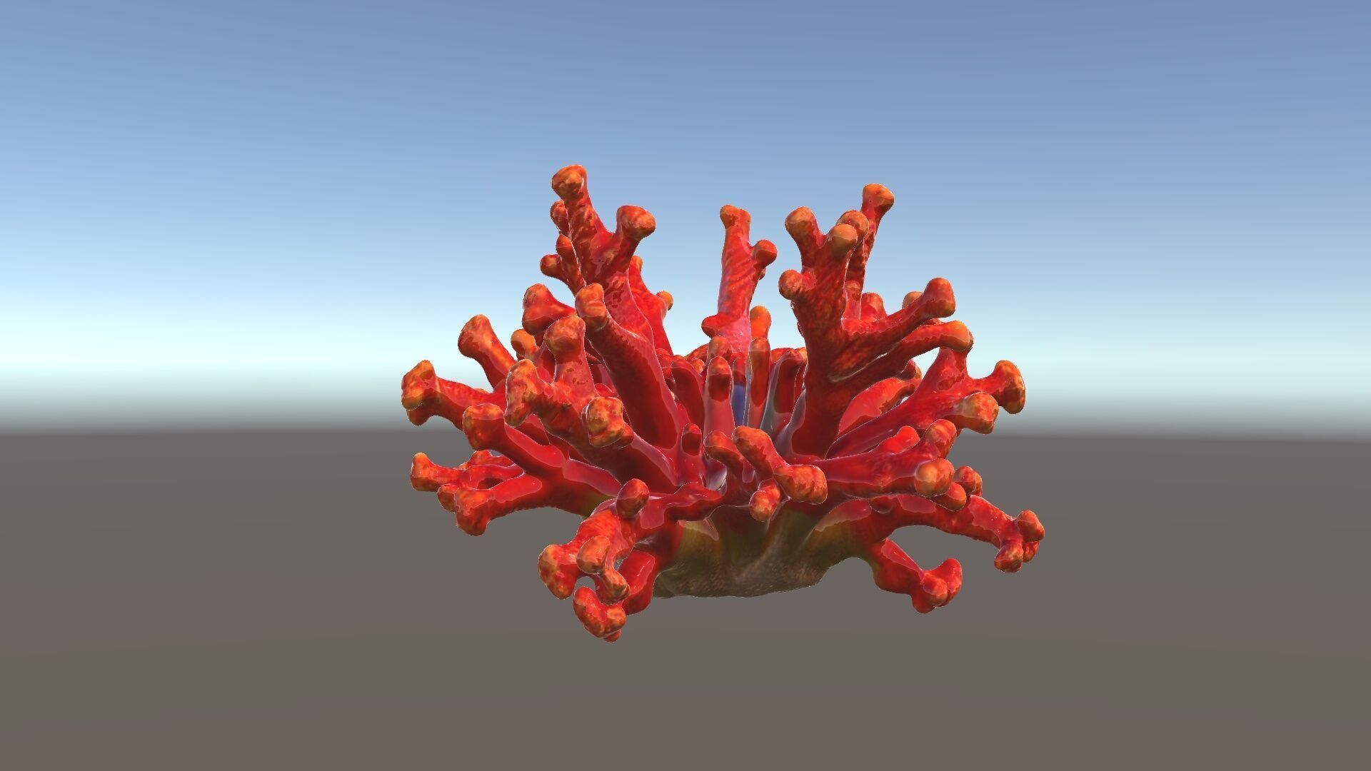 Detailed Coral Model Pack for Realistic Sea Renderings Low-poly 3D model_6