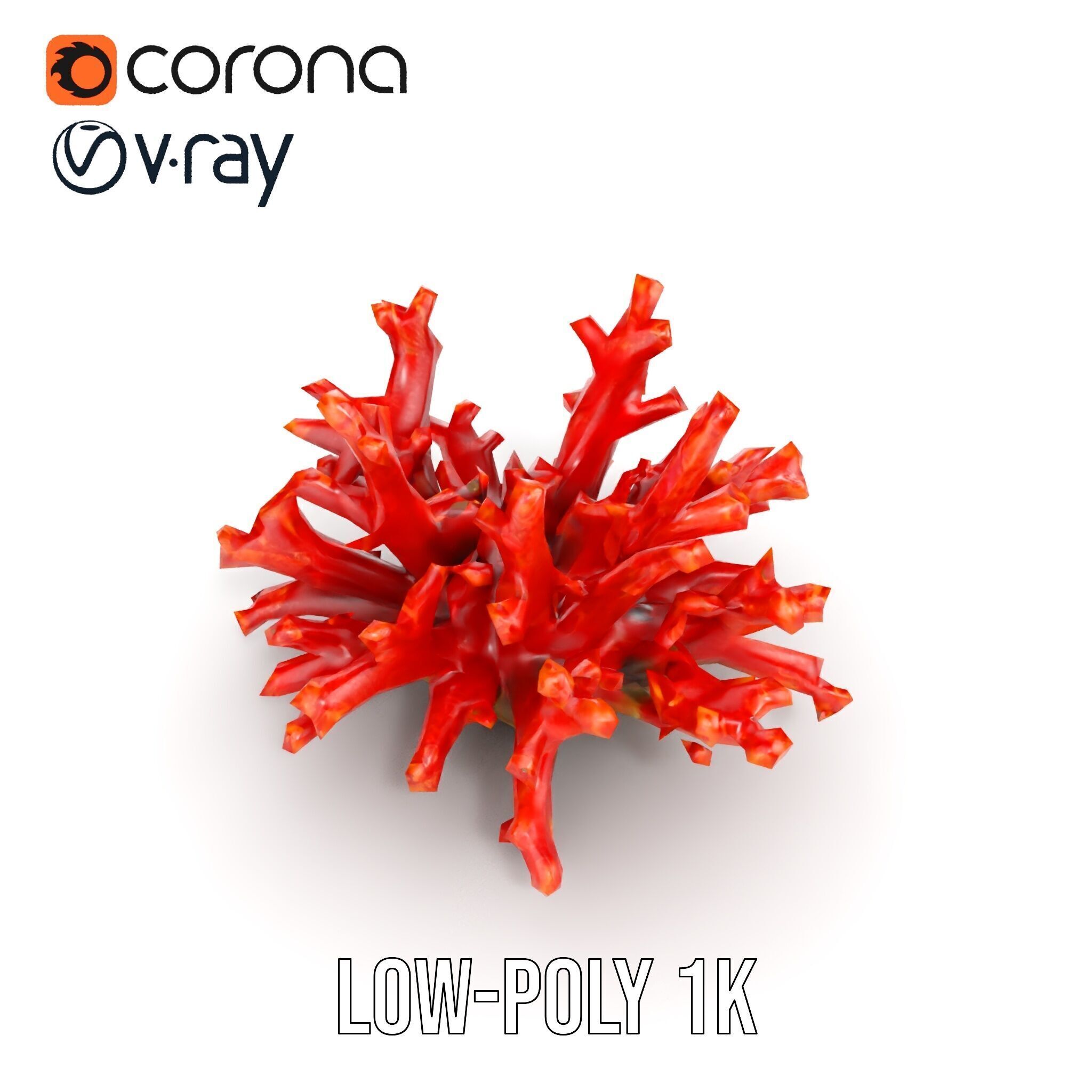 Detailed Coral Model Pack for Realistic Sea Renderings Low-poly 3D model_16