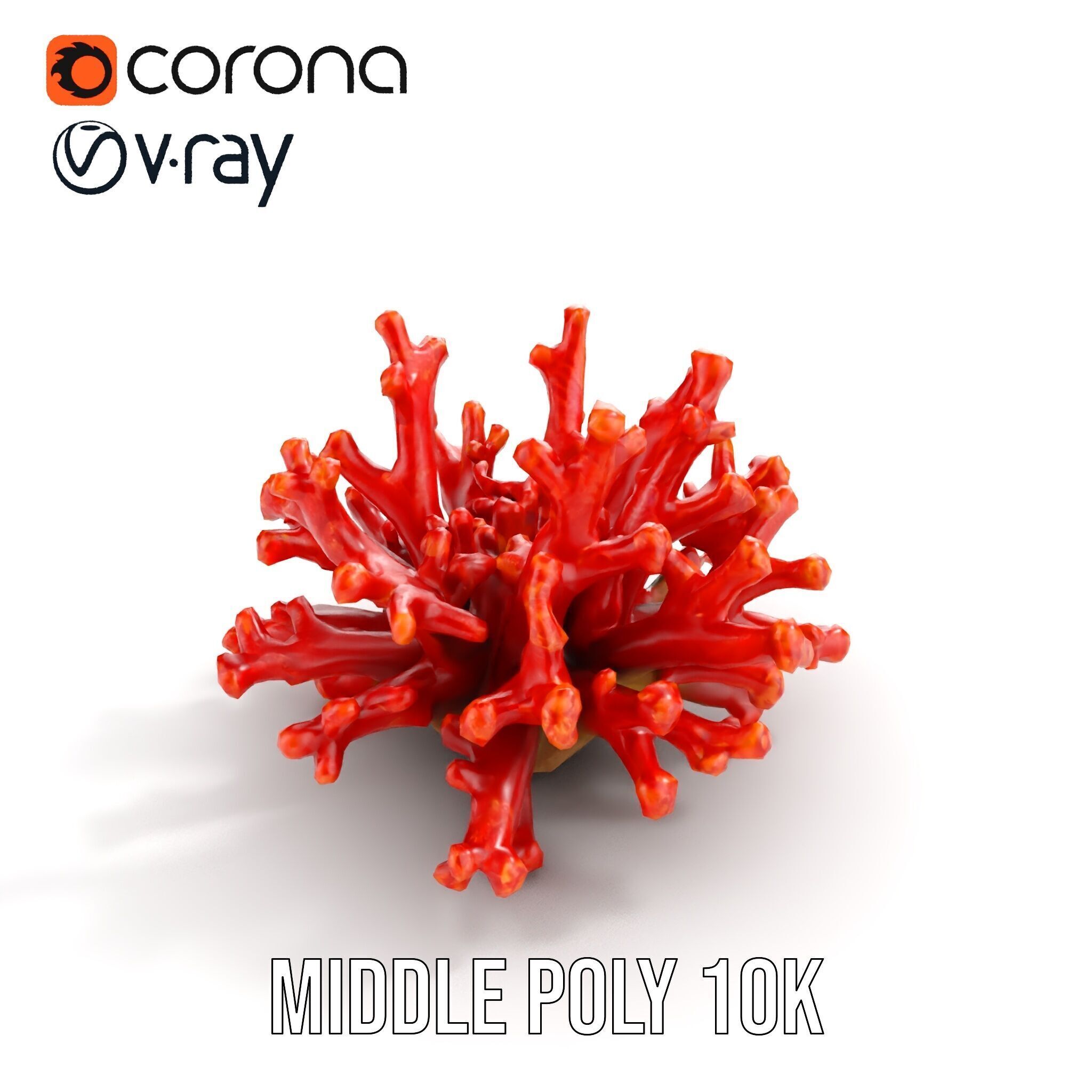 Detailed Coral Model Pack for Realistic Sea Renderings Low-poly 3D model_12