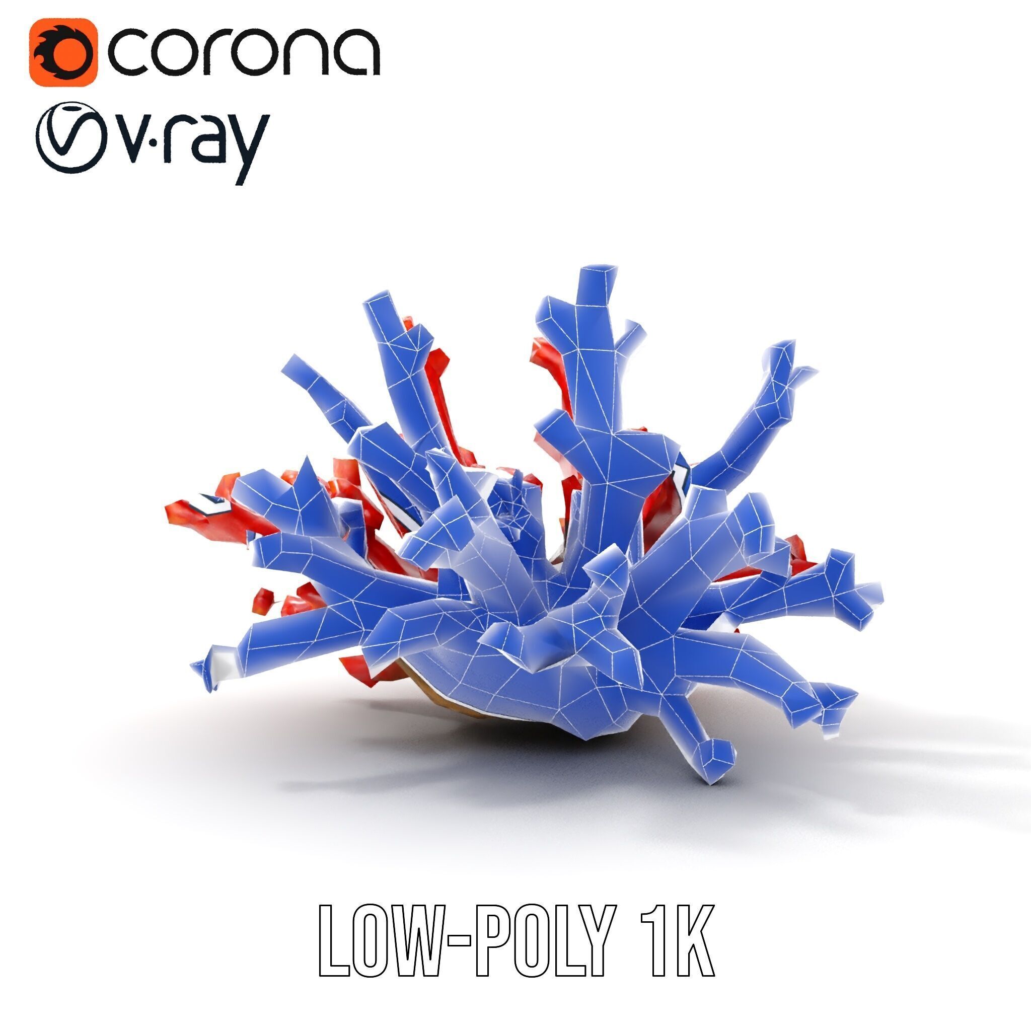 Detailed Coral Model Pack for Realistic Sea Renderings Low-poly 3D model_29