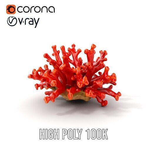Detailed Coral Model Pack for Realistic Sea Renderings Low-poly 3D model