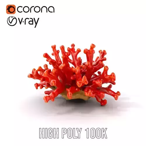 Detailed Coral Model Pack for Realistic Sea Renderings Low-poly 3D model
