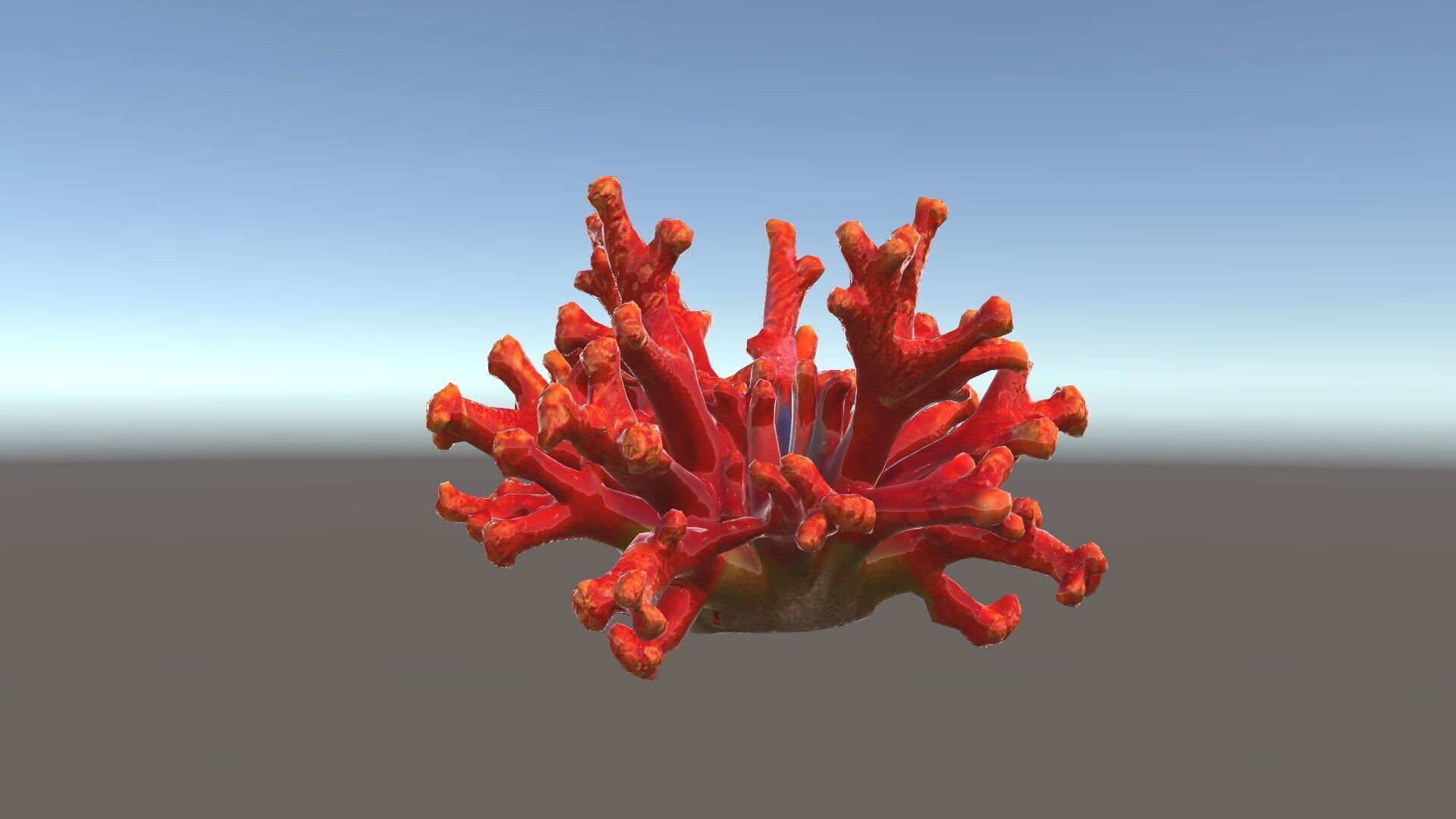 Detailed Coral Model Pack for Realistic Sea Renderings Low-poly 3D model_34