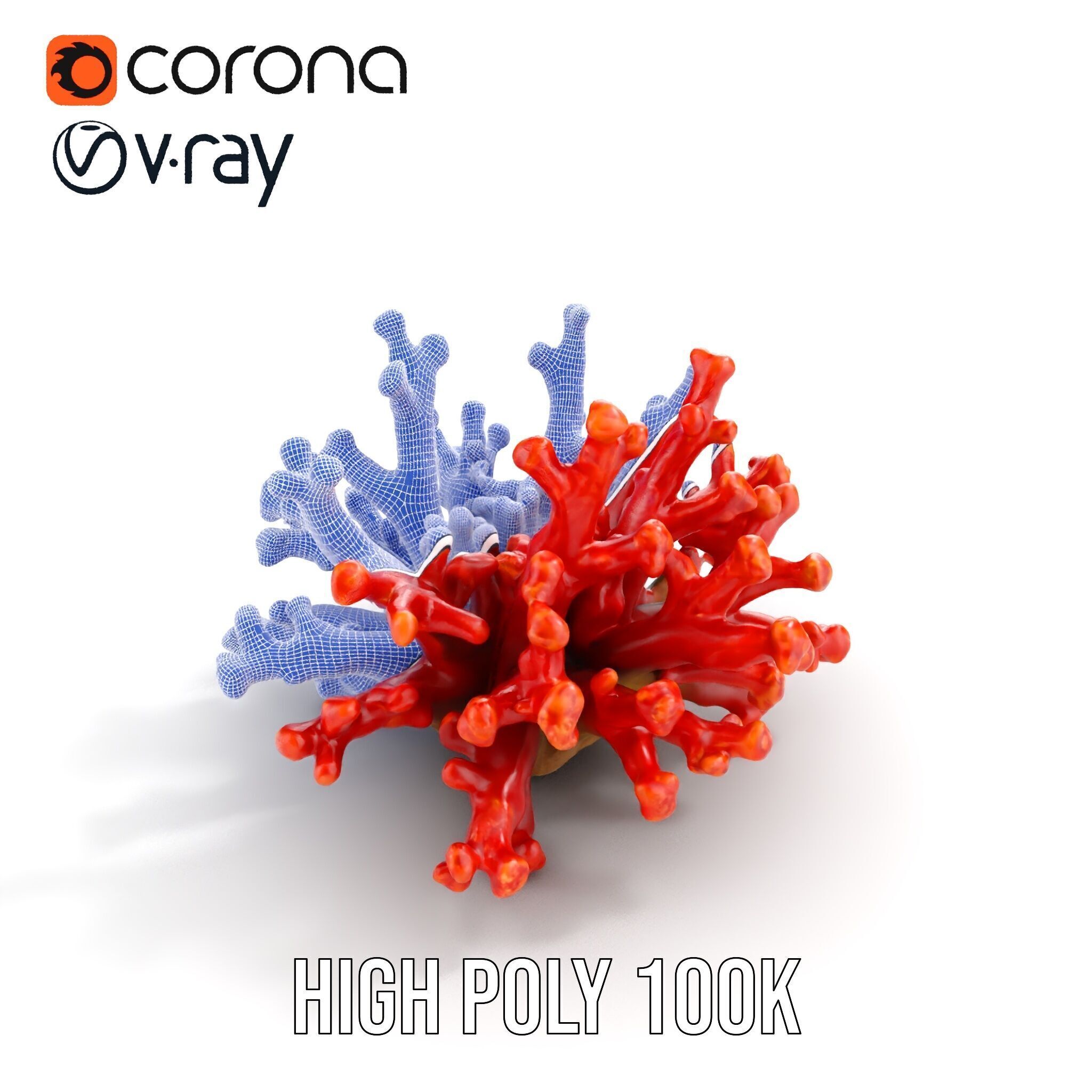 Detailed Coral Model Pack for Realistic Sea Renderings Low-poly 3D model_22