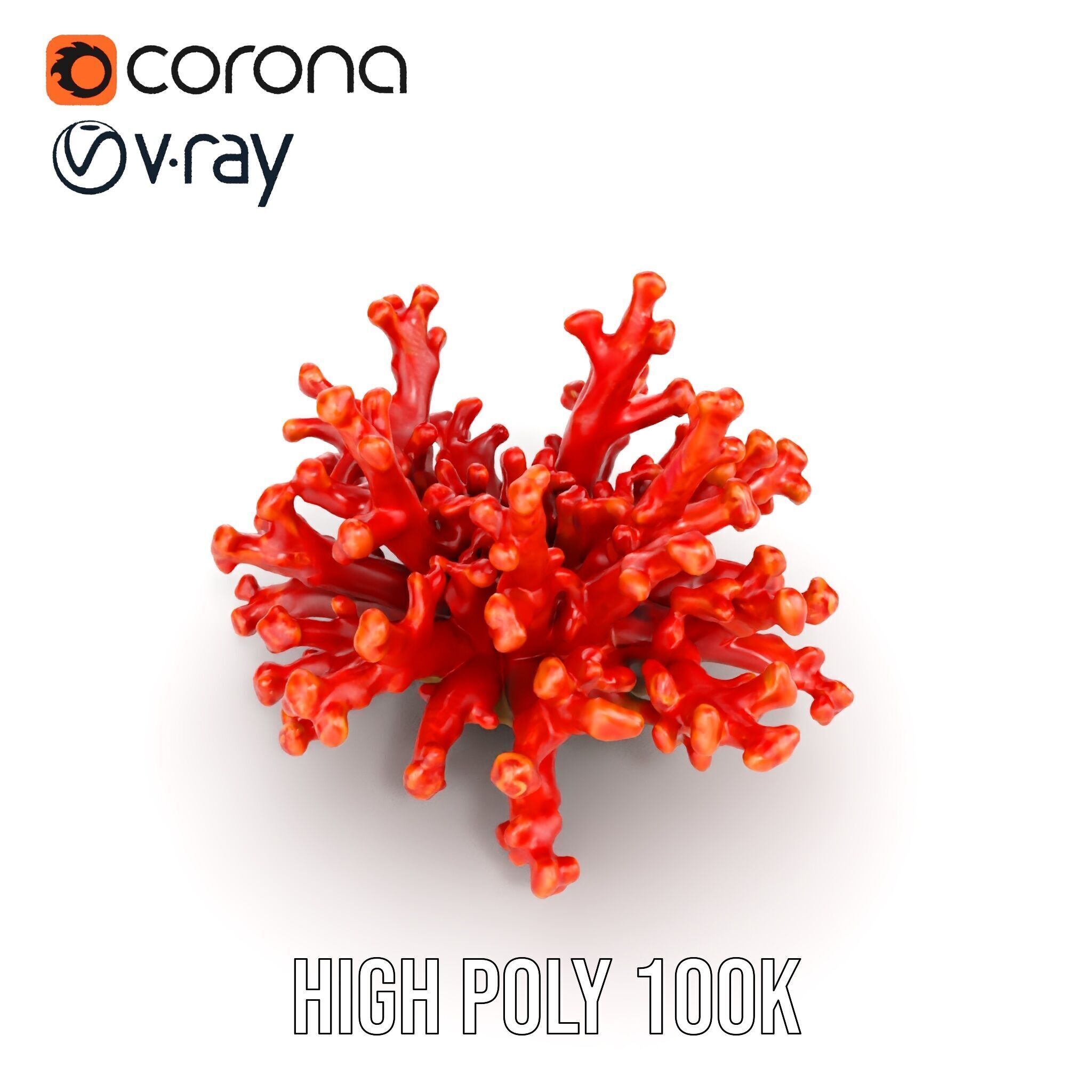 Detailed Coral Model Pack for Realistic Sea Renderings Low-poly 3D model_17