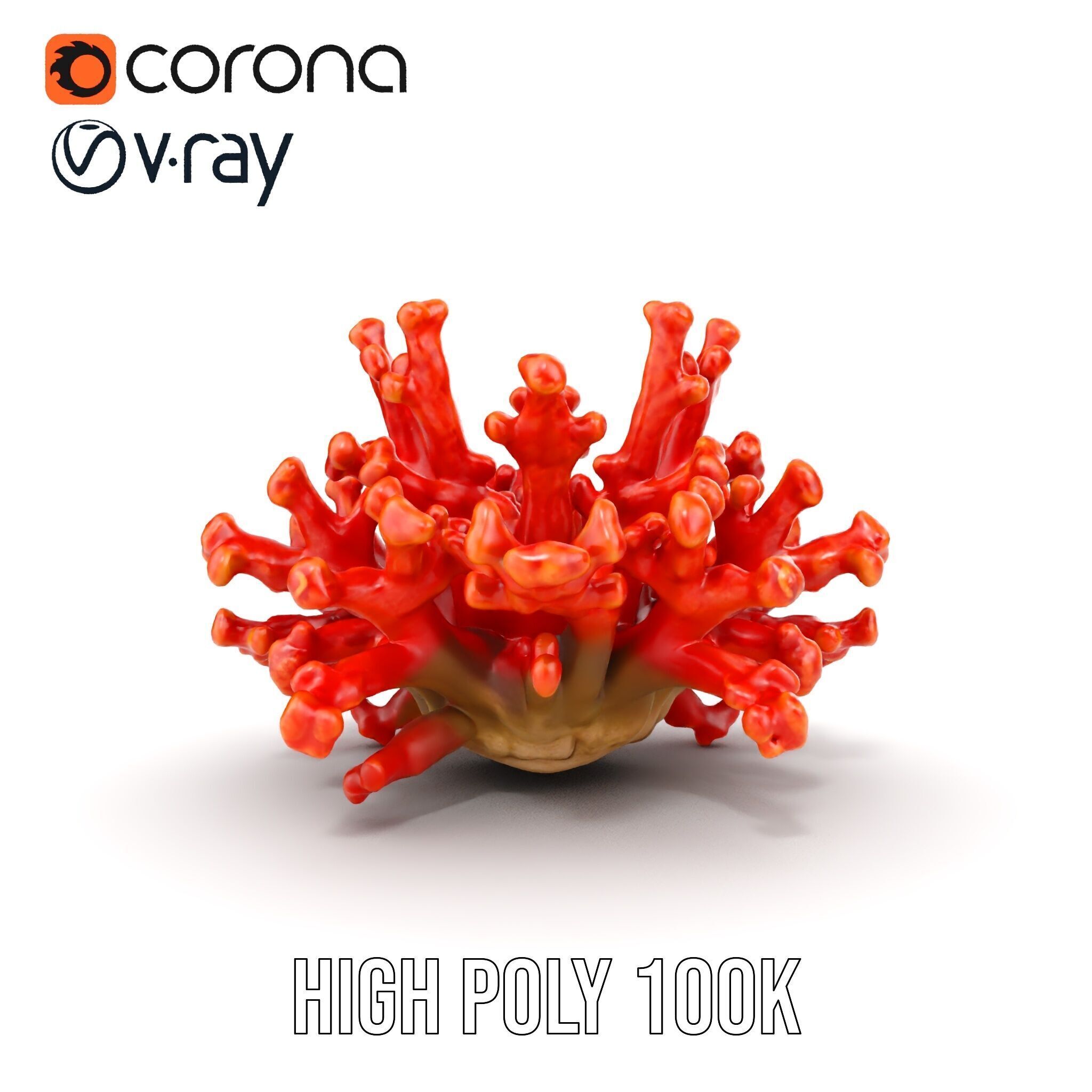 Detailed Coral Model Pack for Realistic Sea Renderings Low-poly 3D model_25