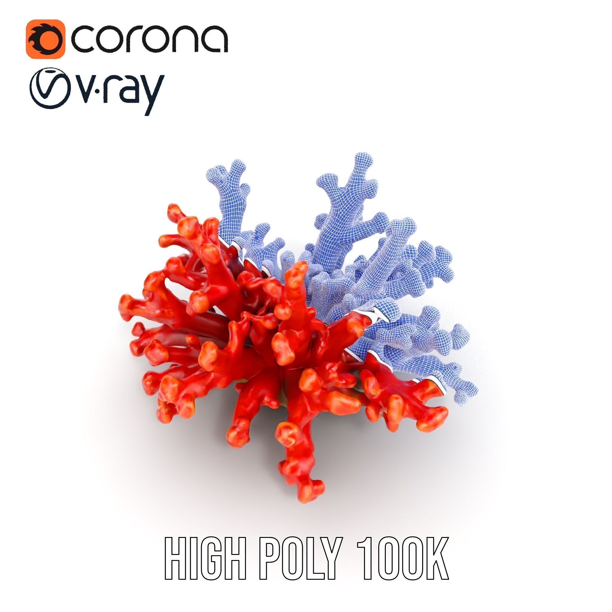 Detailed Coral Model Pack for Realistic Sea Renderings Low-poly 3D model_36