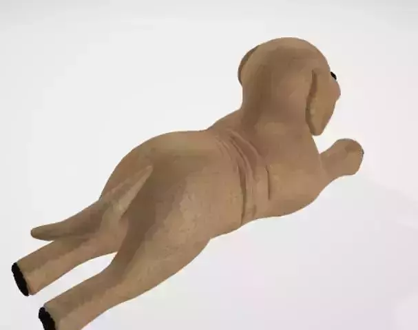 dog toy 3D model