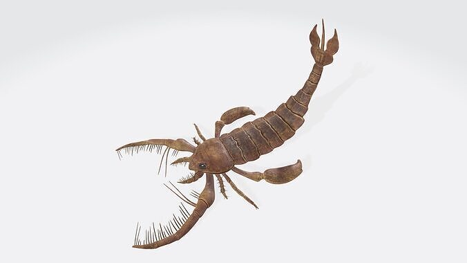 Prehistoric Sea Scorpion Figure for 3D Printing 3D print model