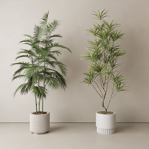 Green Plant Pottery Living Room Pottery 3D model