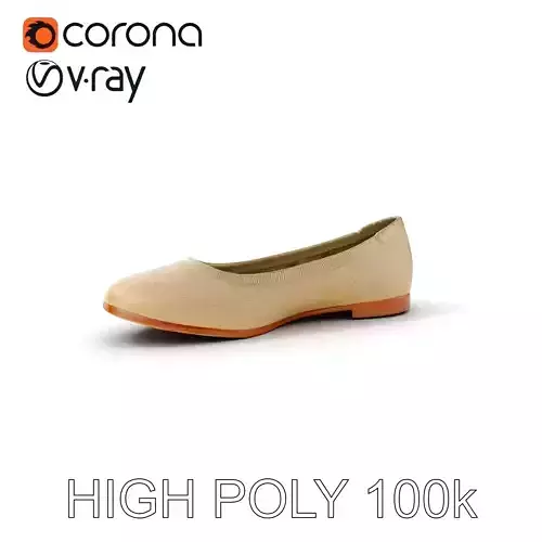 Elegant Womens Flat Shoe Model Pack Texture